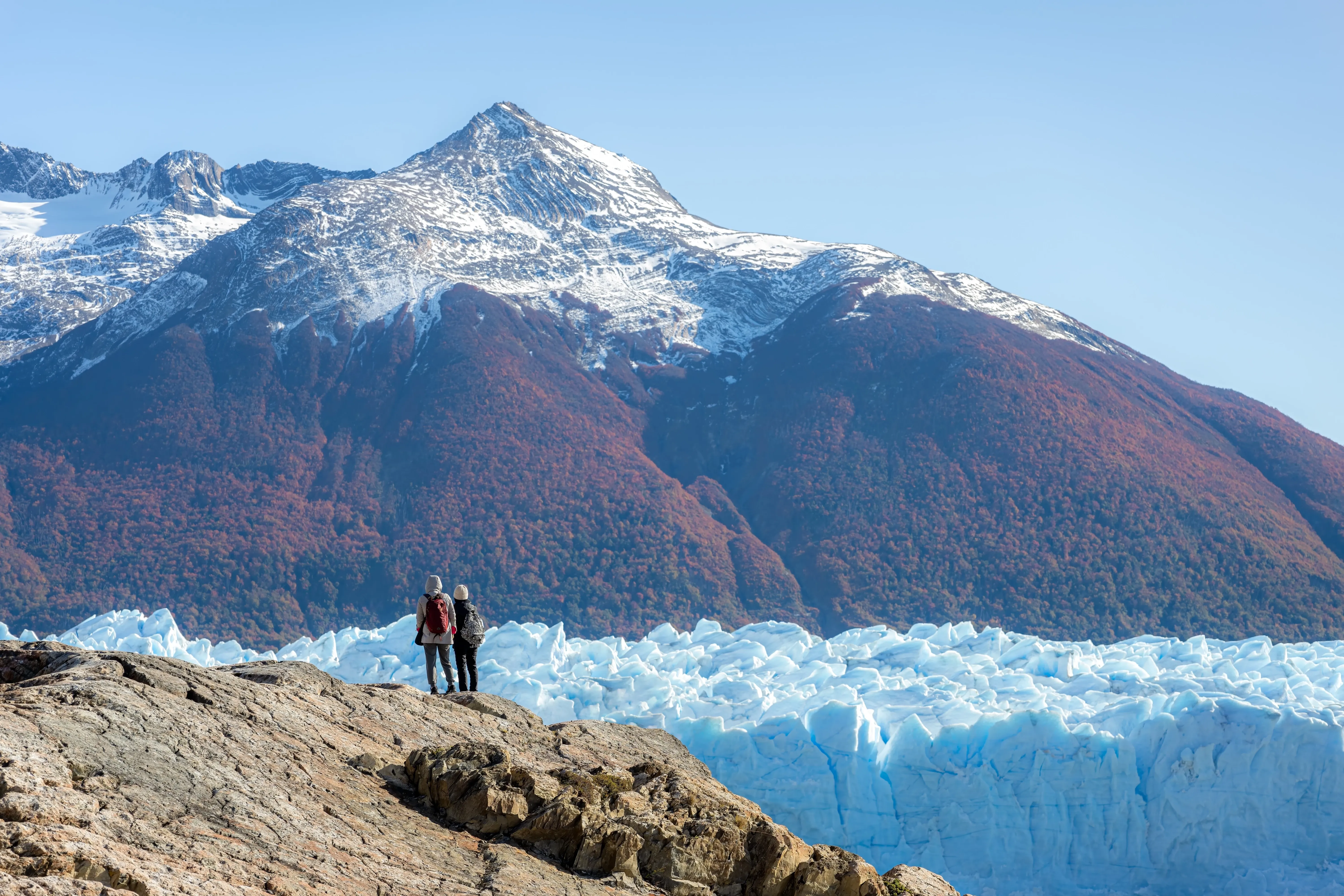 calafate patagonia
