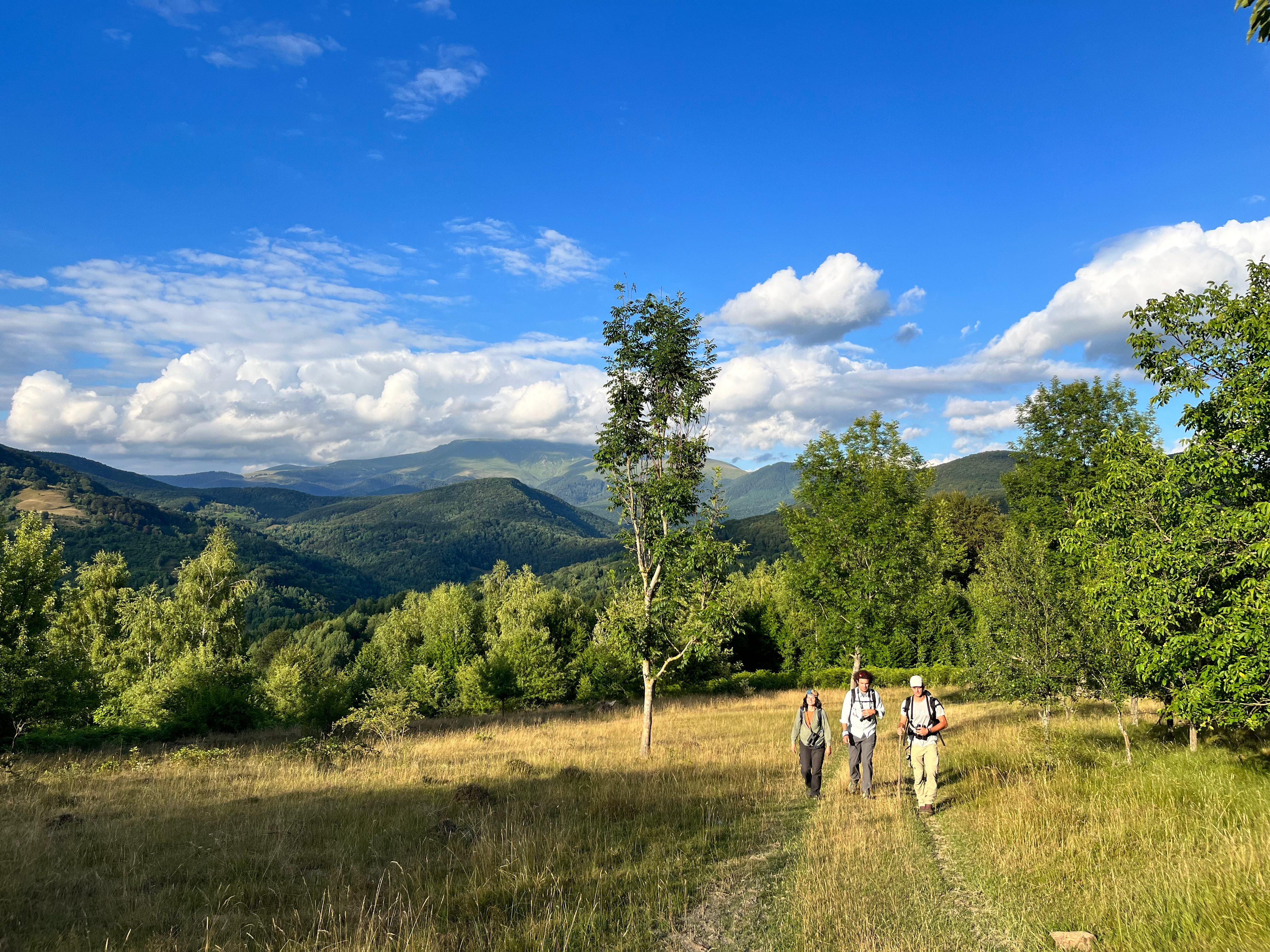 Morgenspaziergang