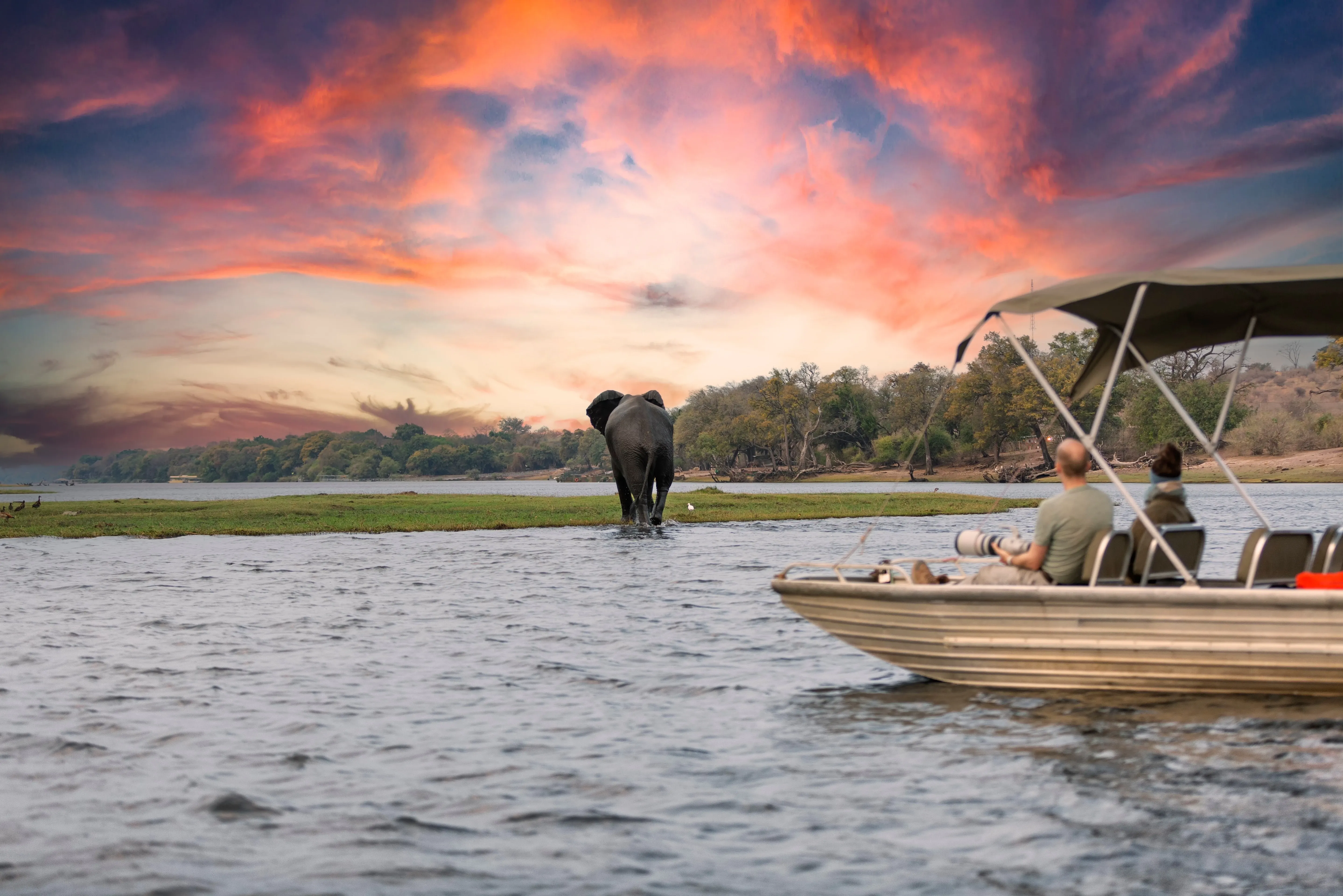 chobe boat cruise