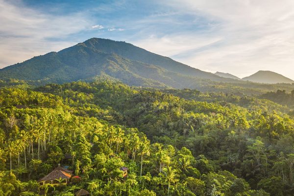 Landscape view of Bamboo Lodge