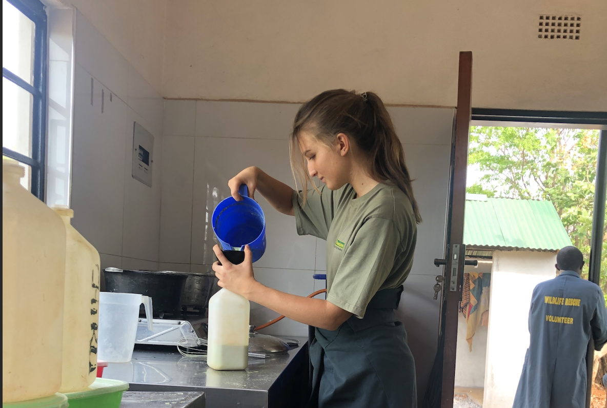 Freiwillige füllt Milch in Flasche