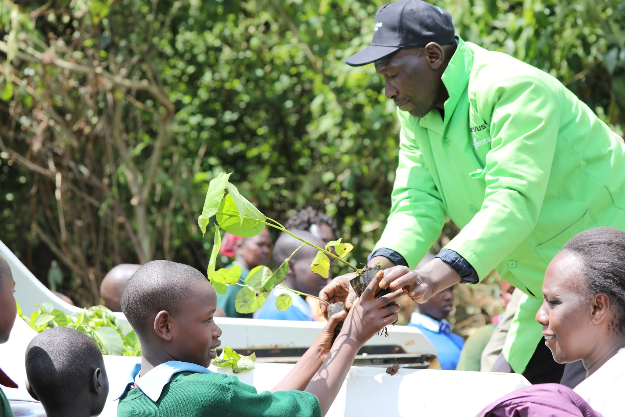 Mann beim Verteilen von Pflanzen