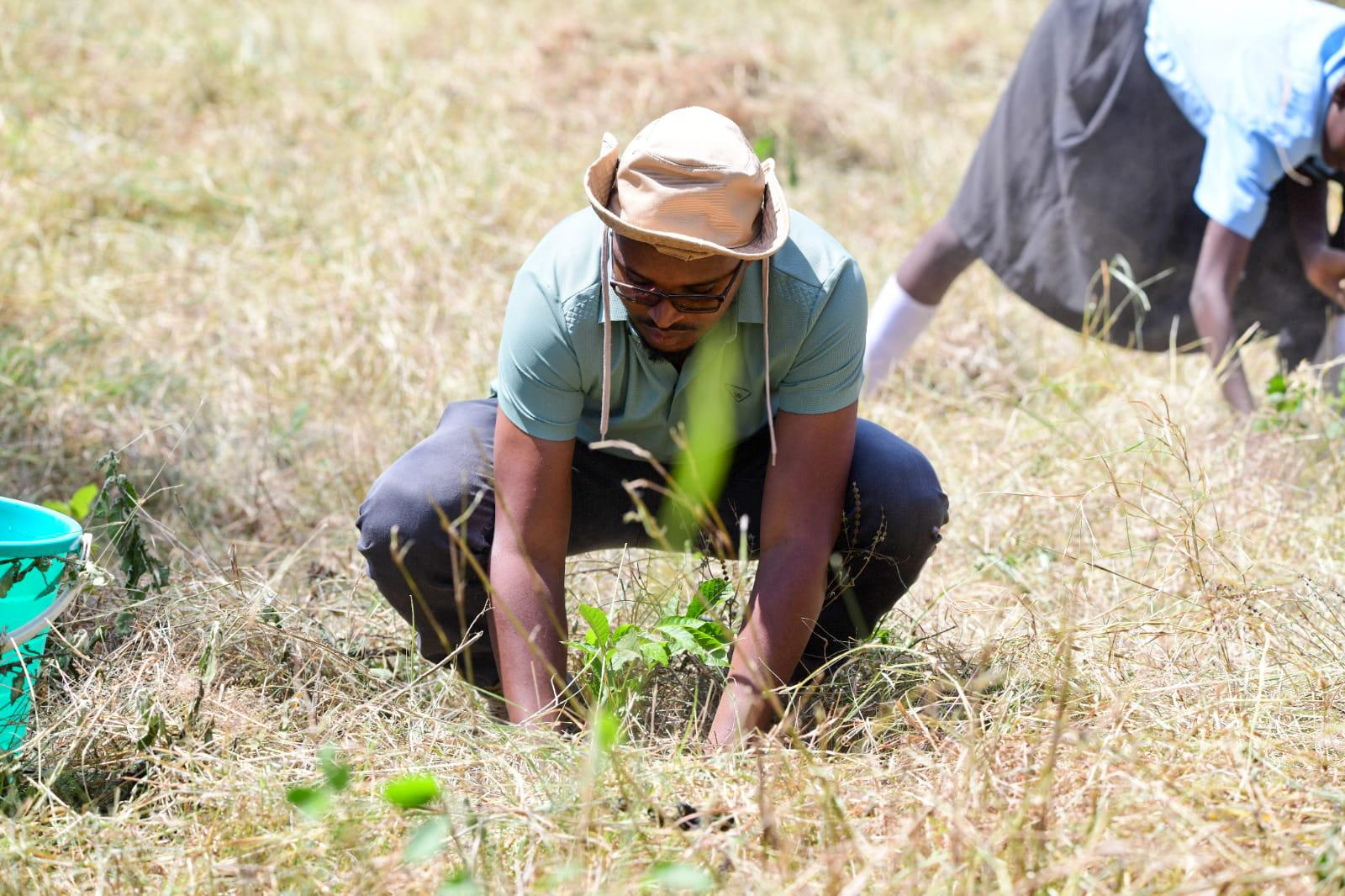 student playing with tree