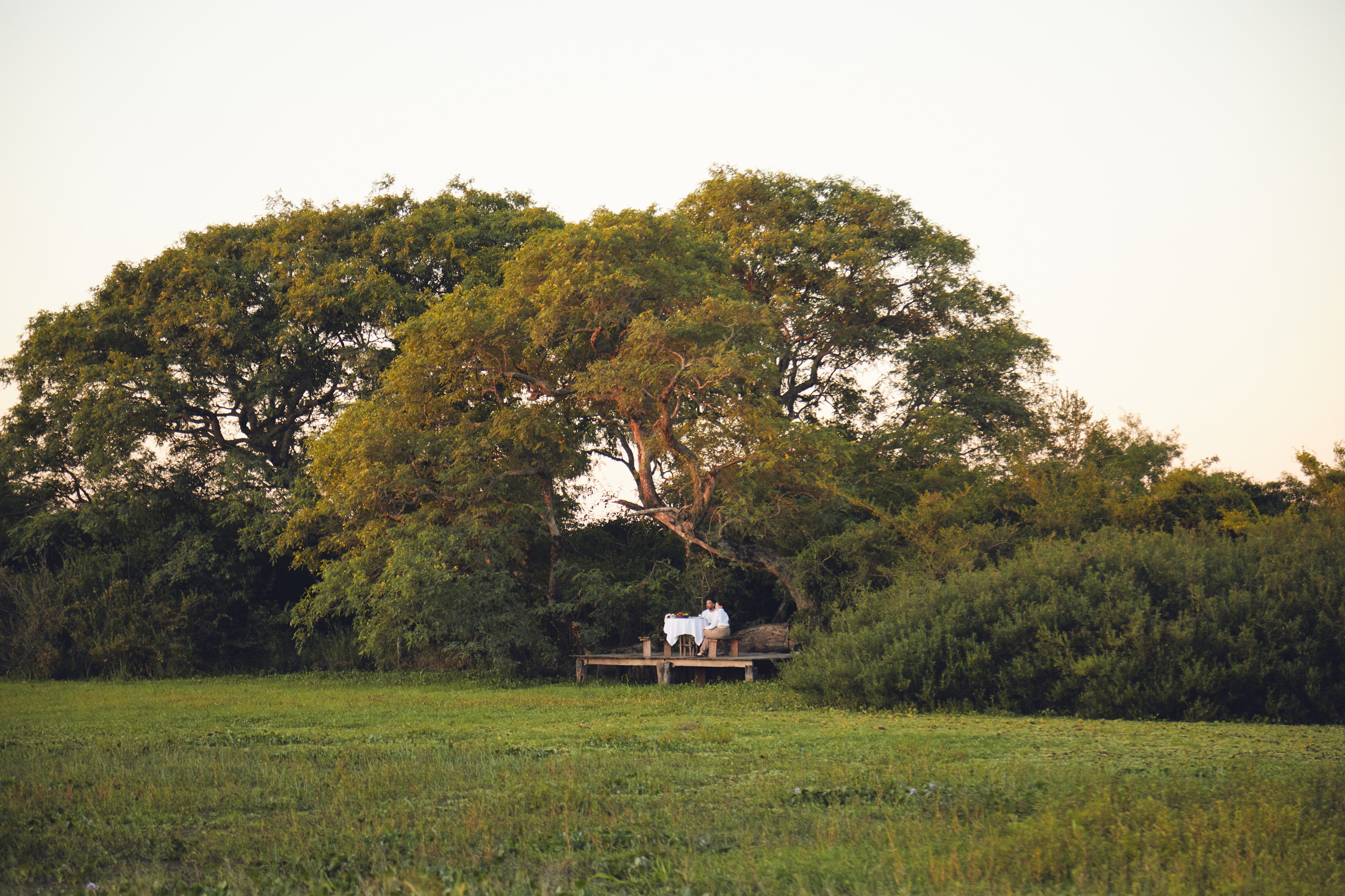 Couple enjoying a picnic in the wetlands