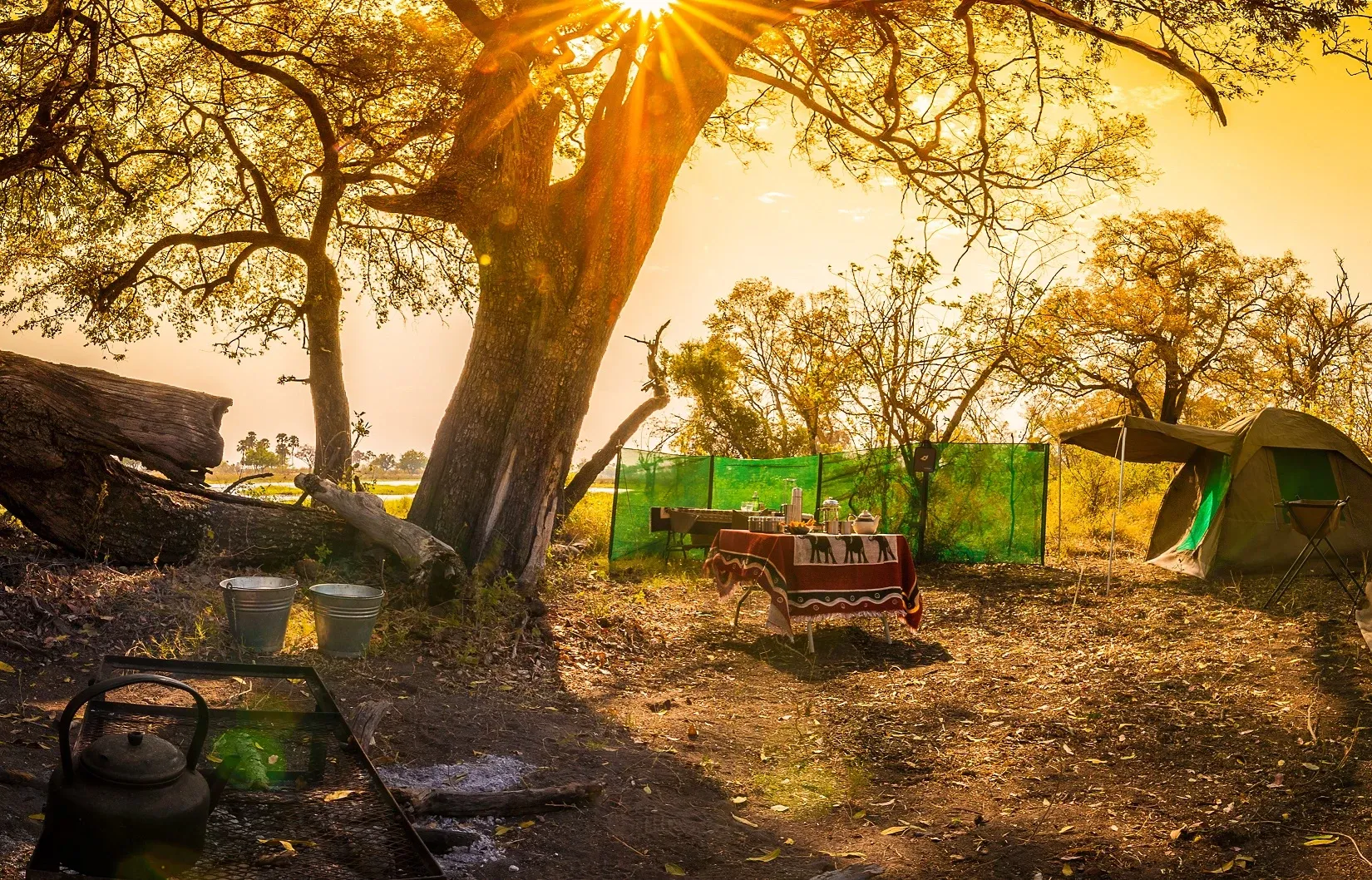 Okavango Wilderness Trail, Botswana