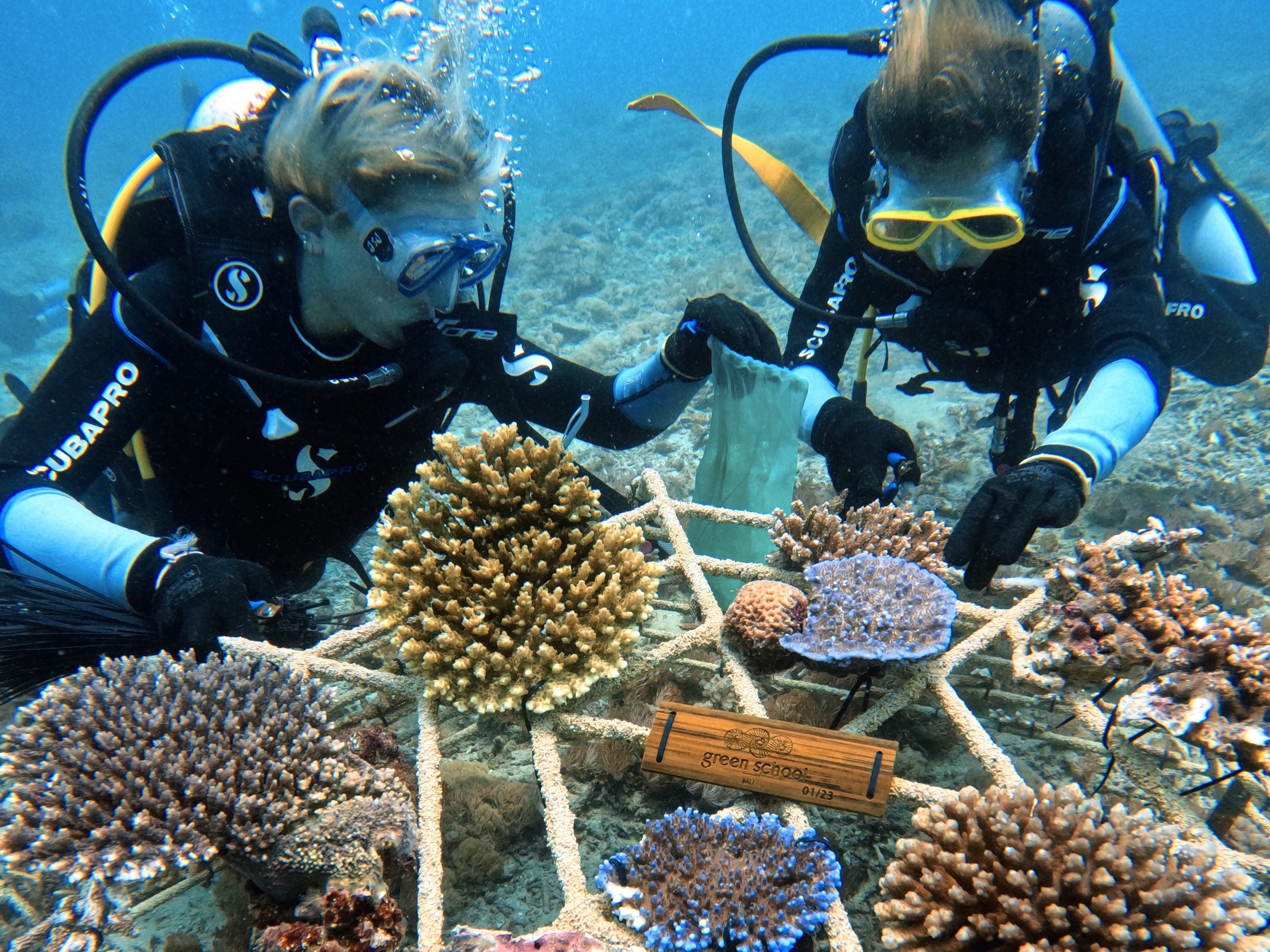 Teilnehmer, die Datenproben entnehmen