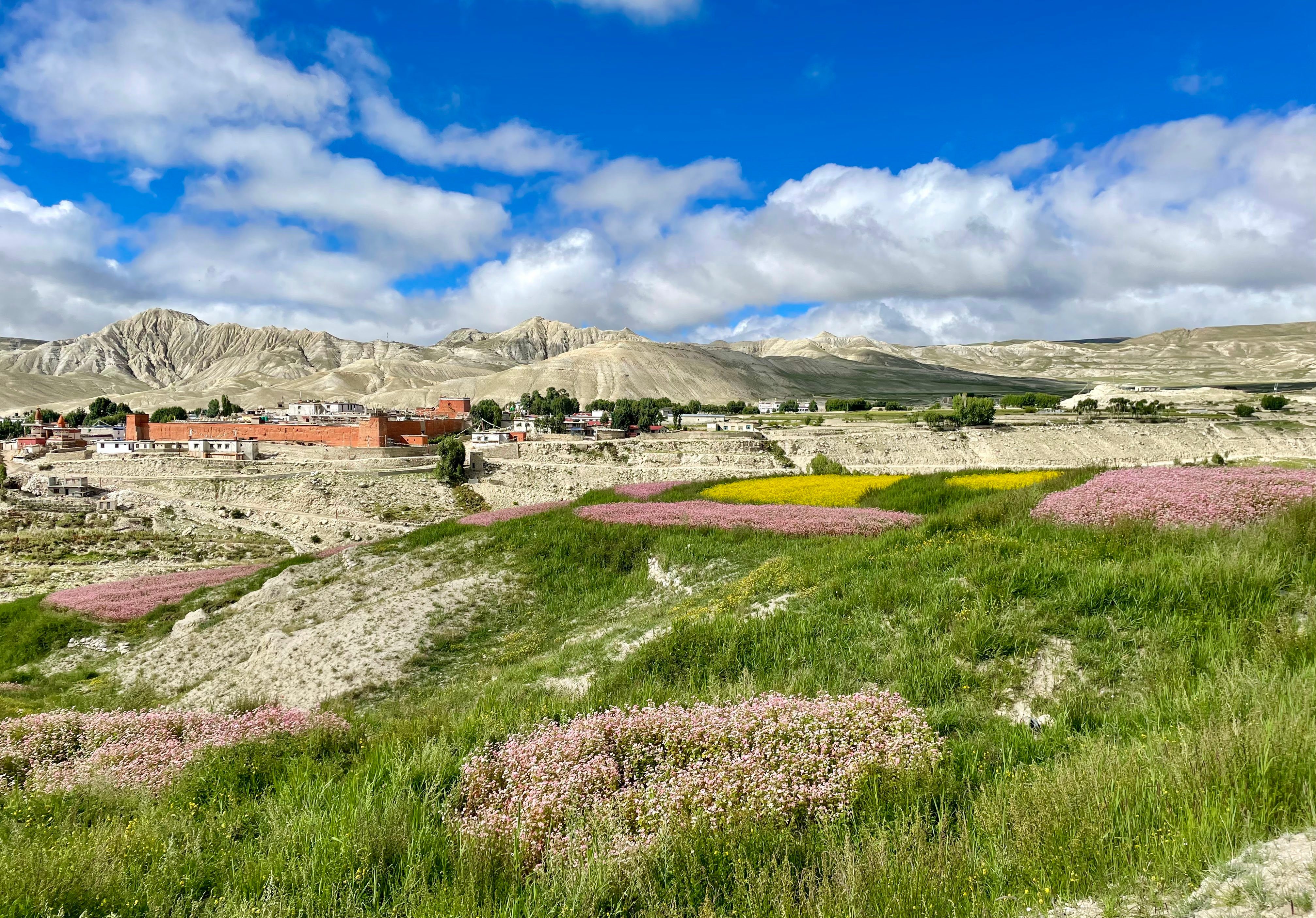 green valley against the village