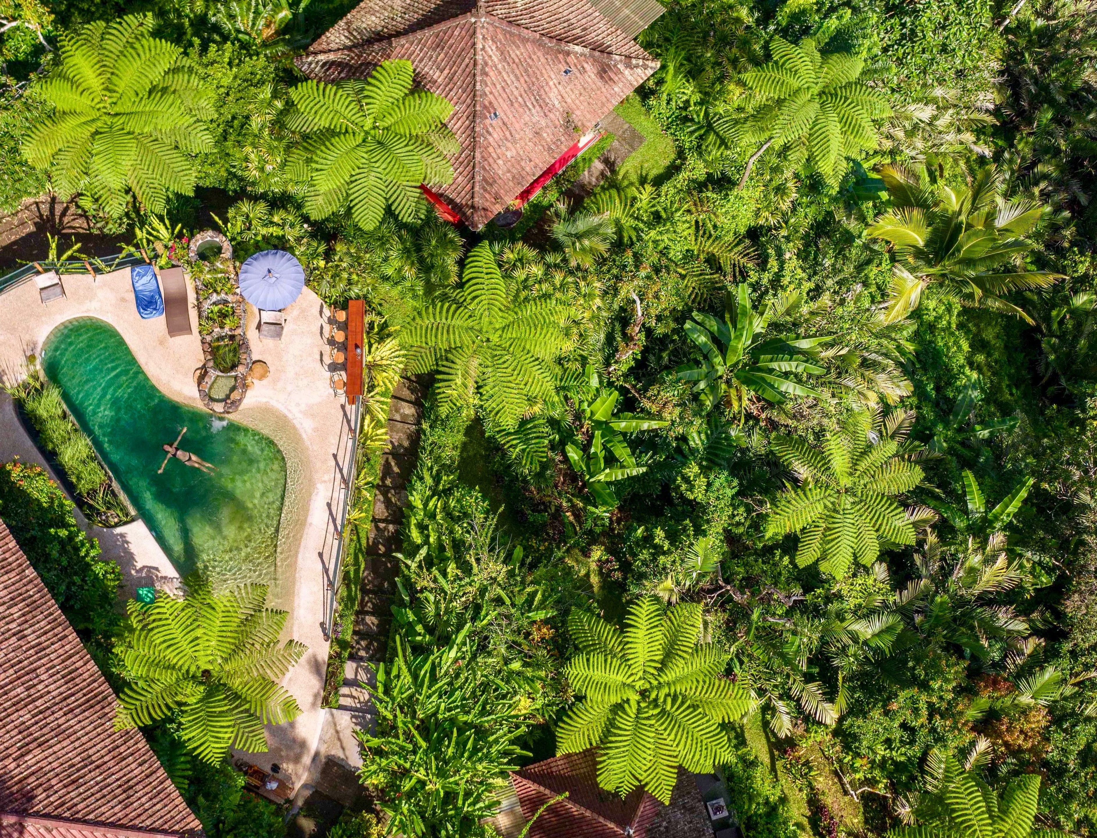 Aerial viel Lodge with natural pool in Bali