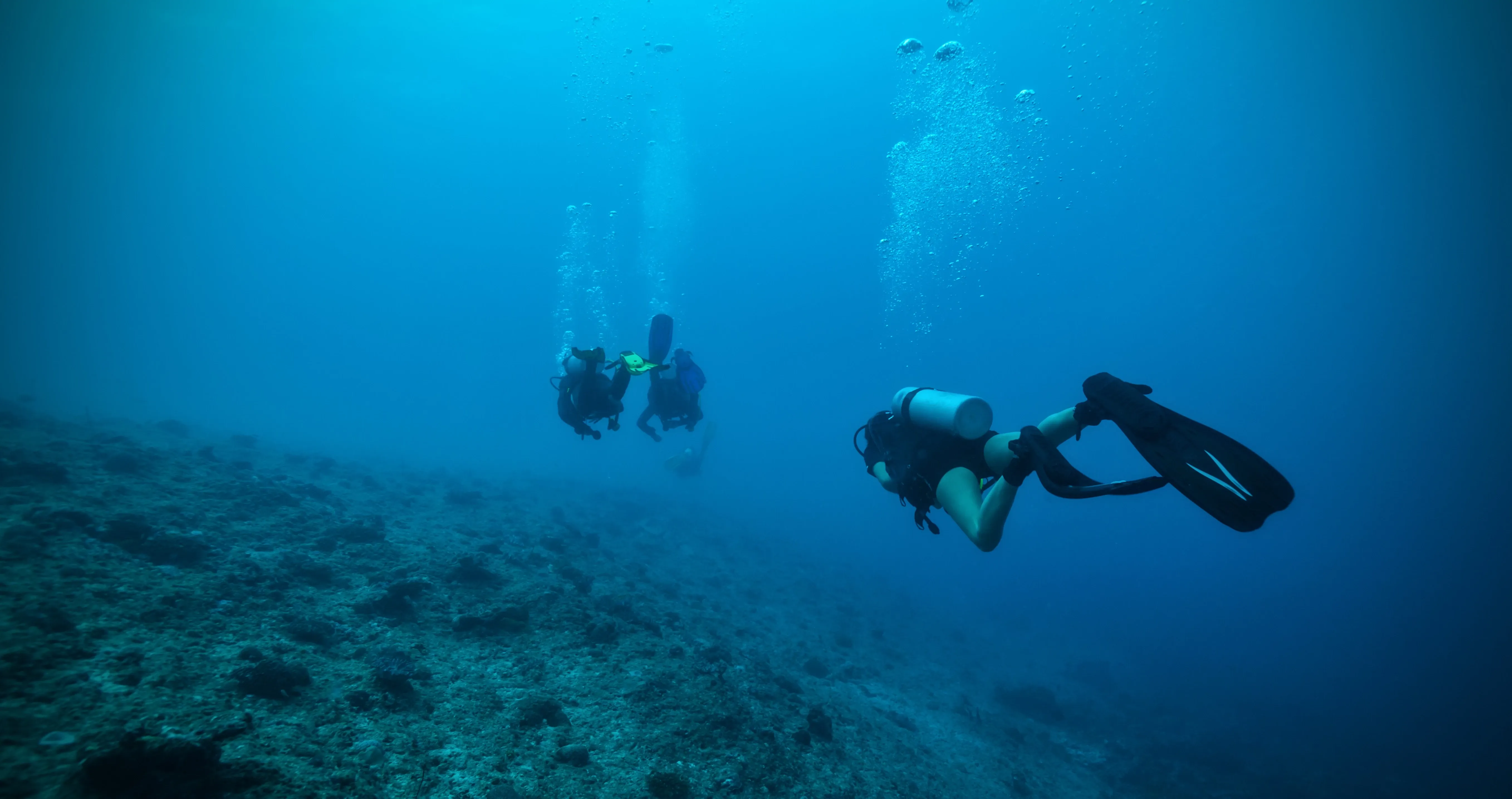 India scuba diving
