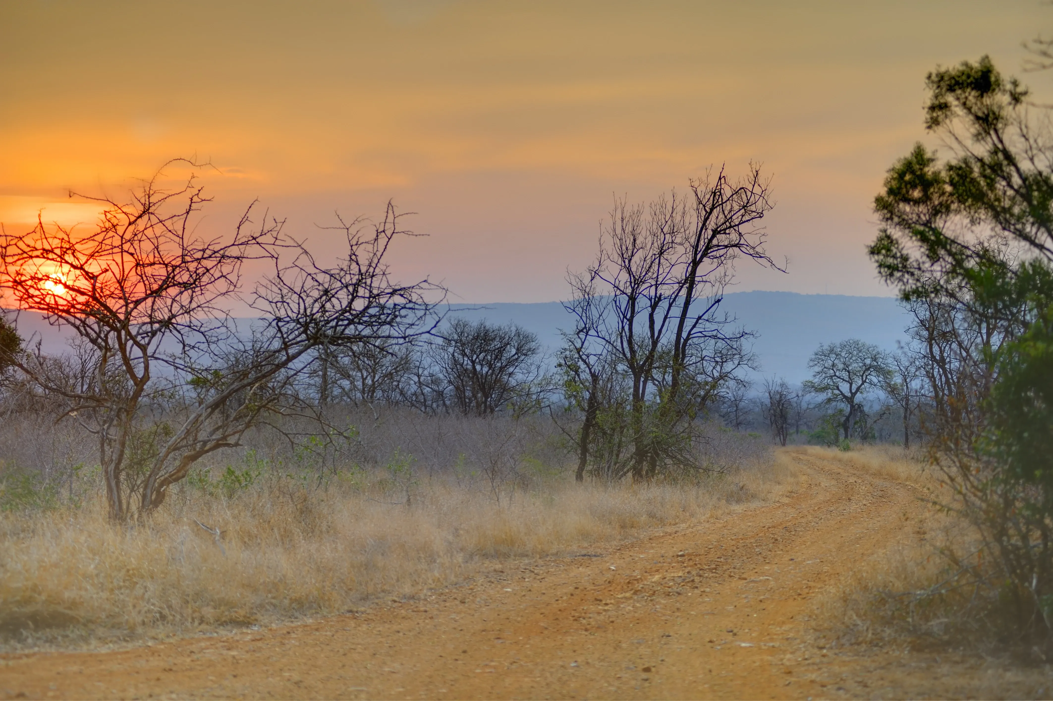 Savannah and bush in Southern Africa in the Zululand region.