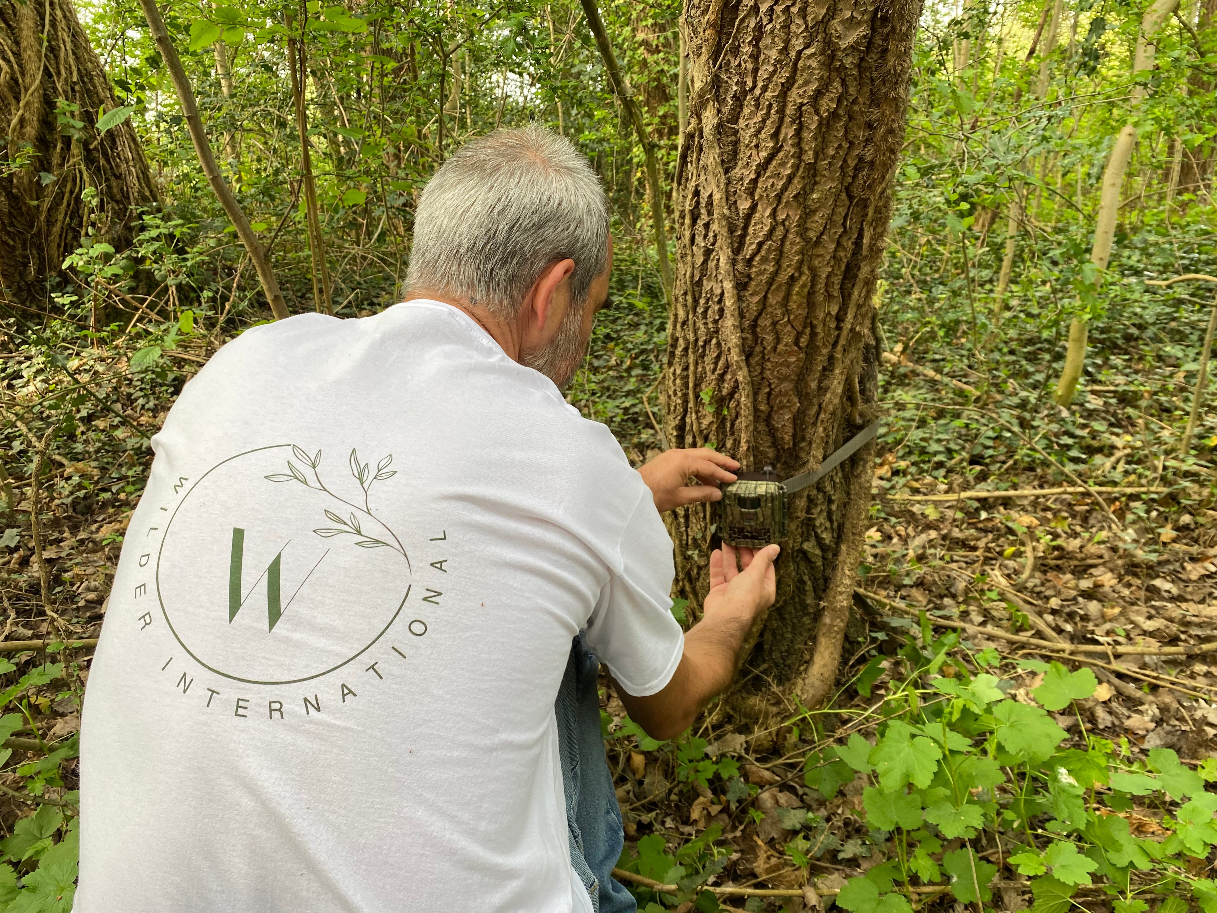 Einrichtung der Kamerafalle