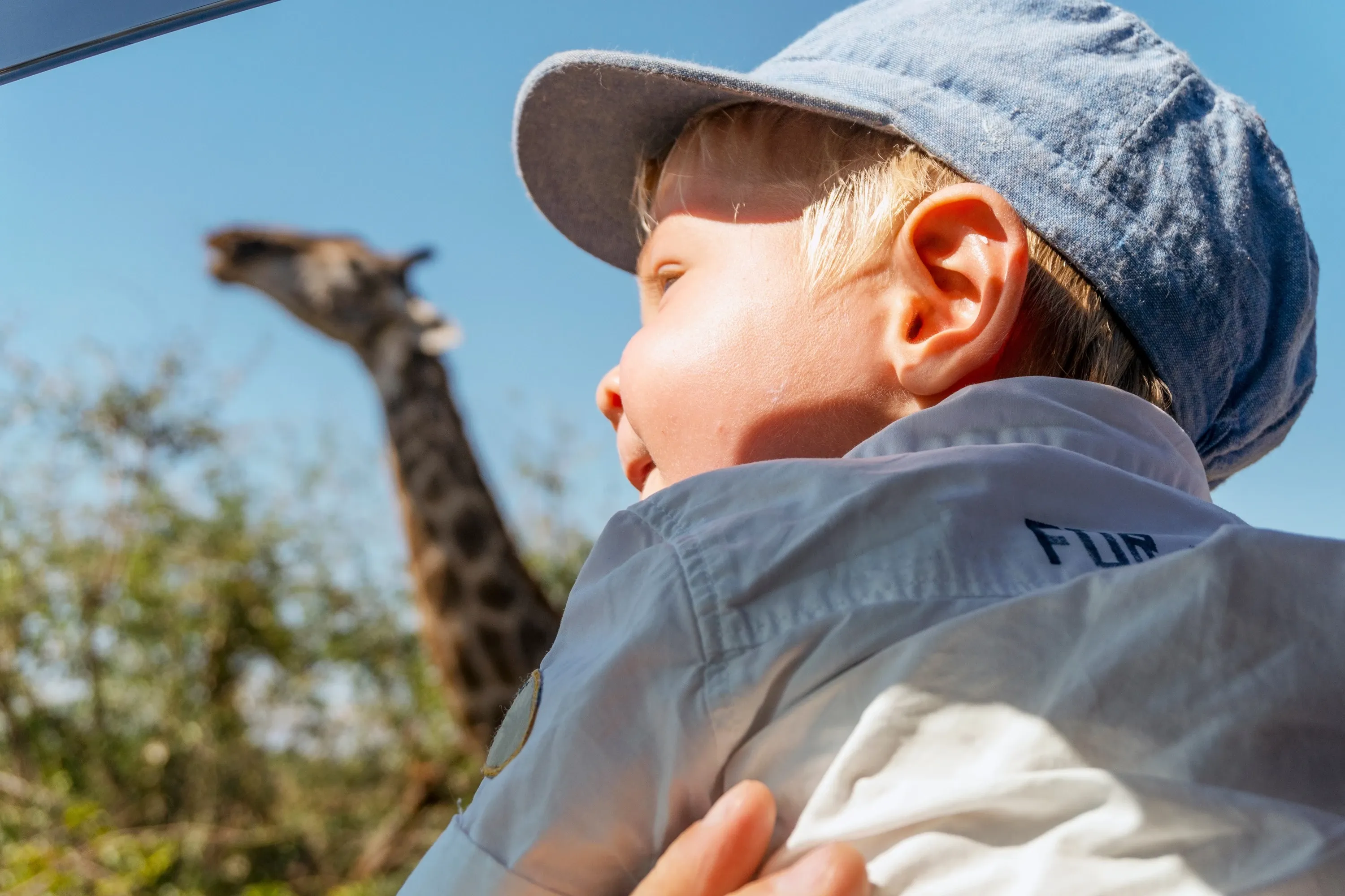 Boy looking at giraffe