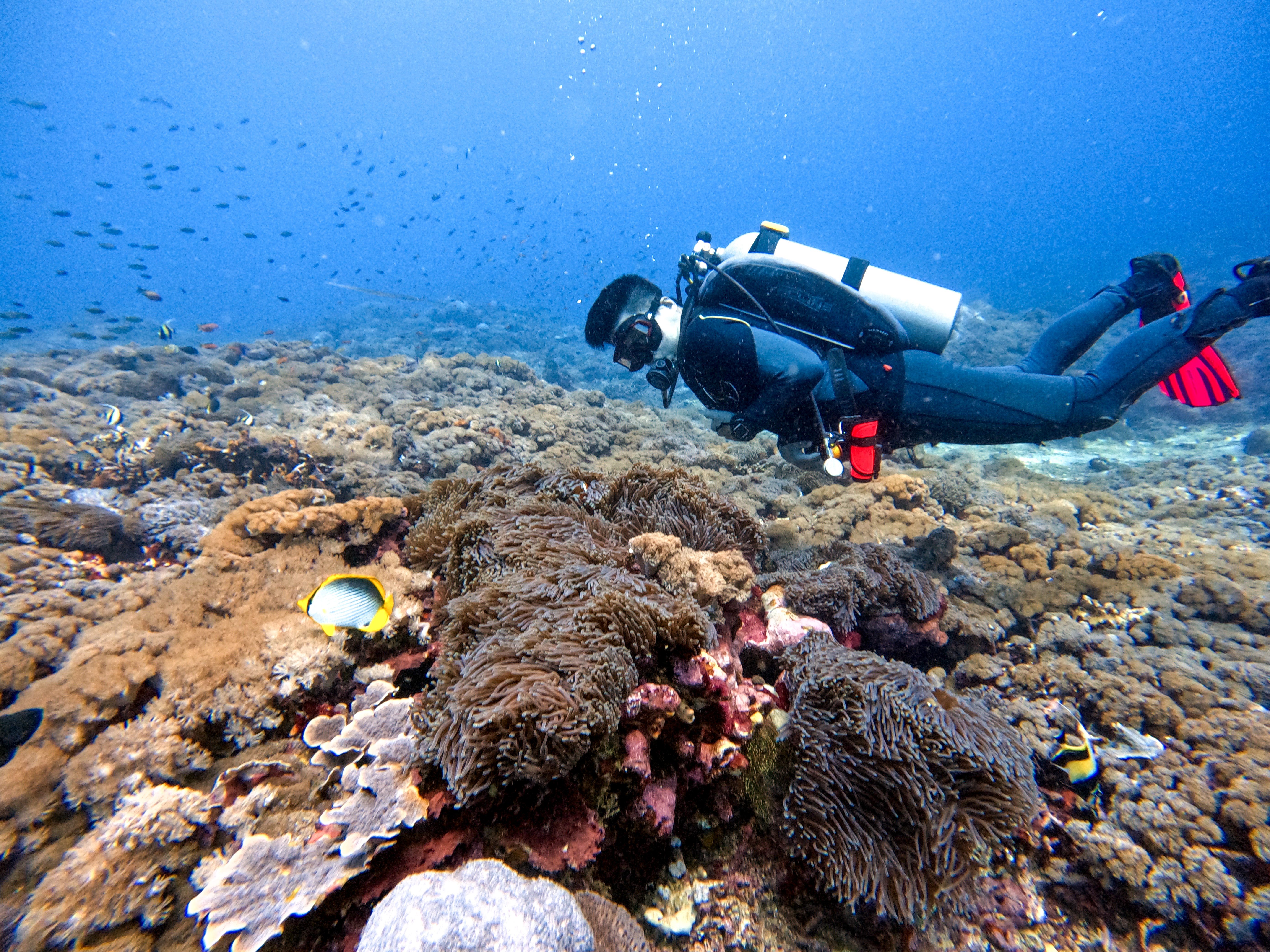 underwater expedition