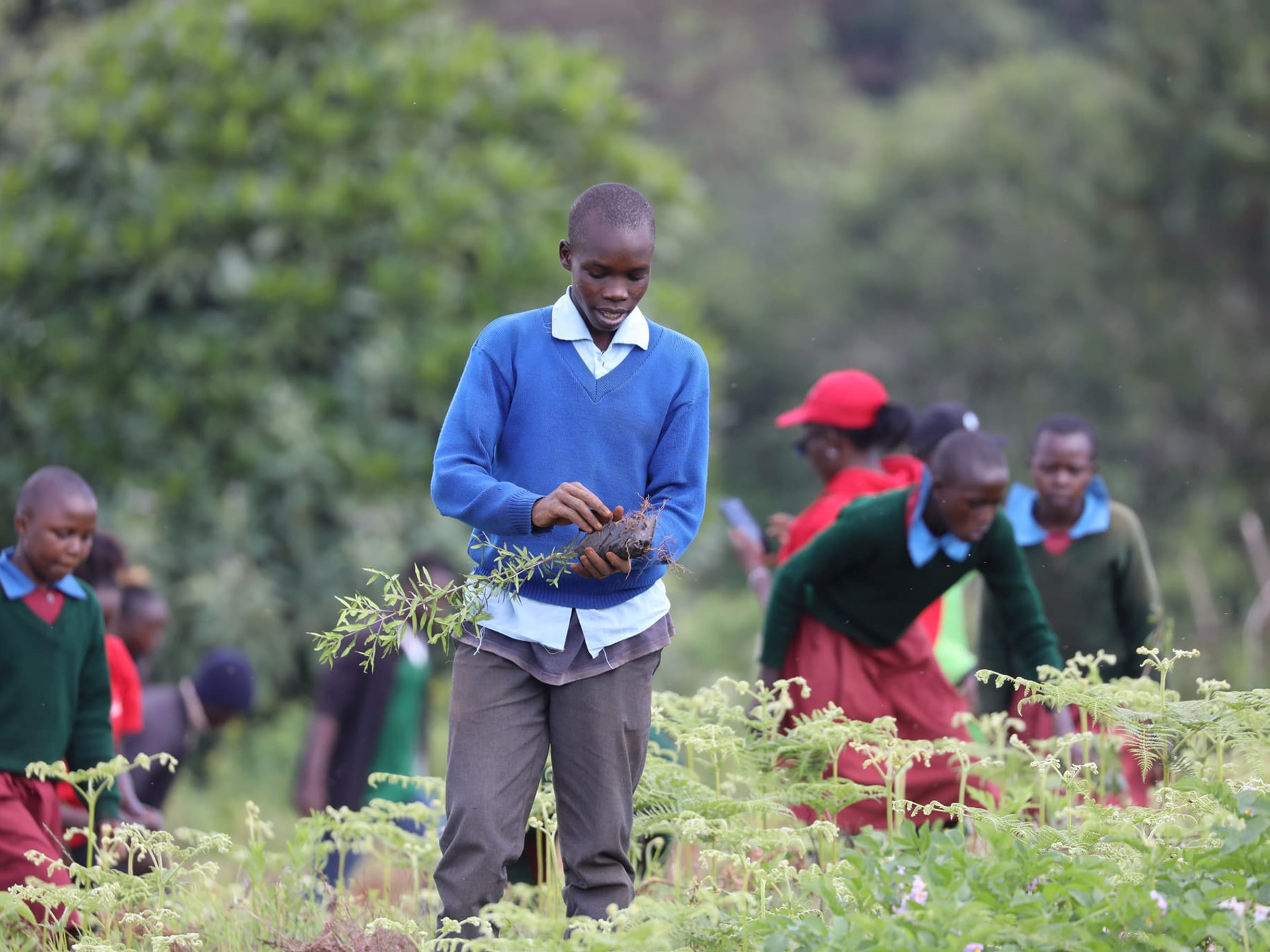 Schüler spielt mit Baum