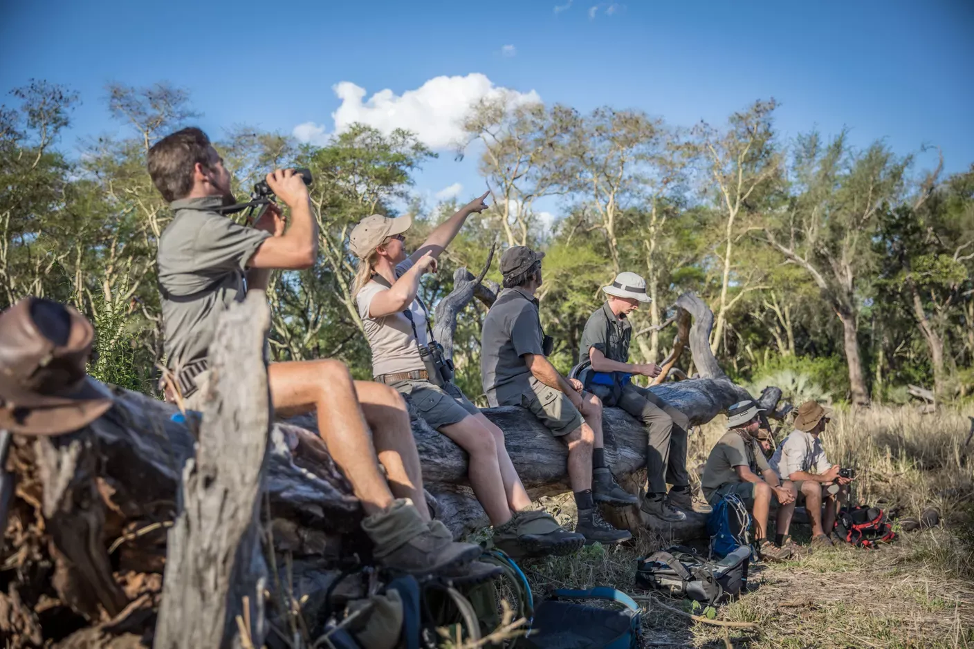 People doing wildlife watching
