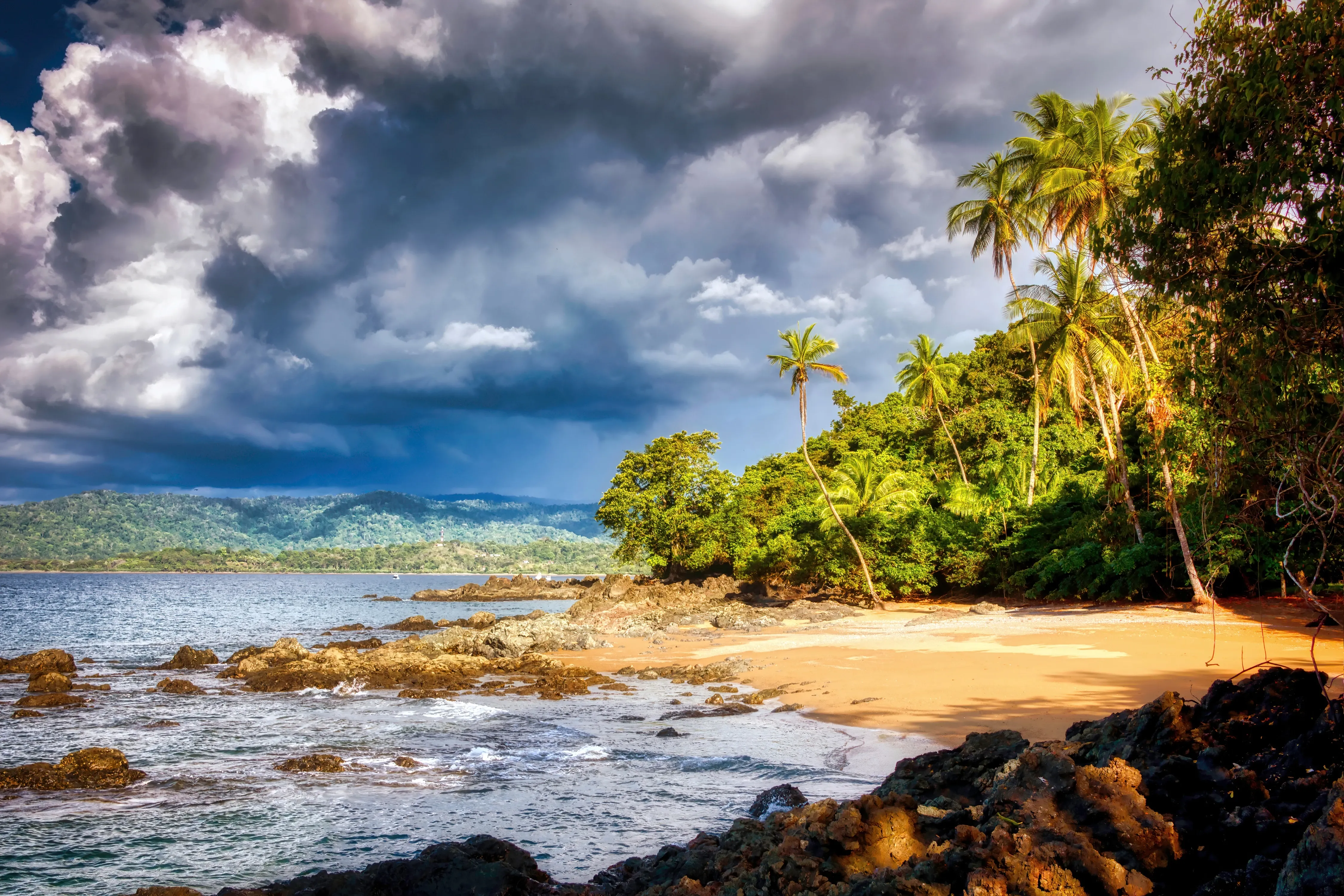 Unique nature in Costa Rica: Osa Peninsula