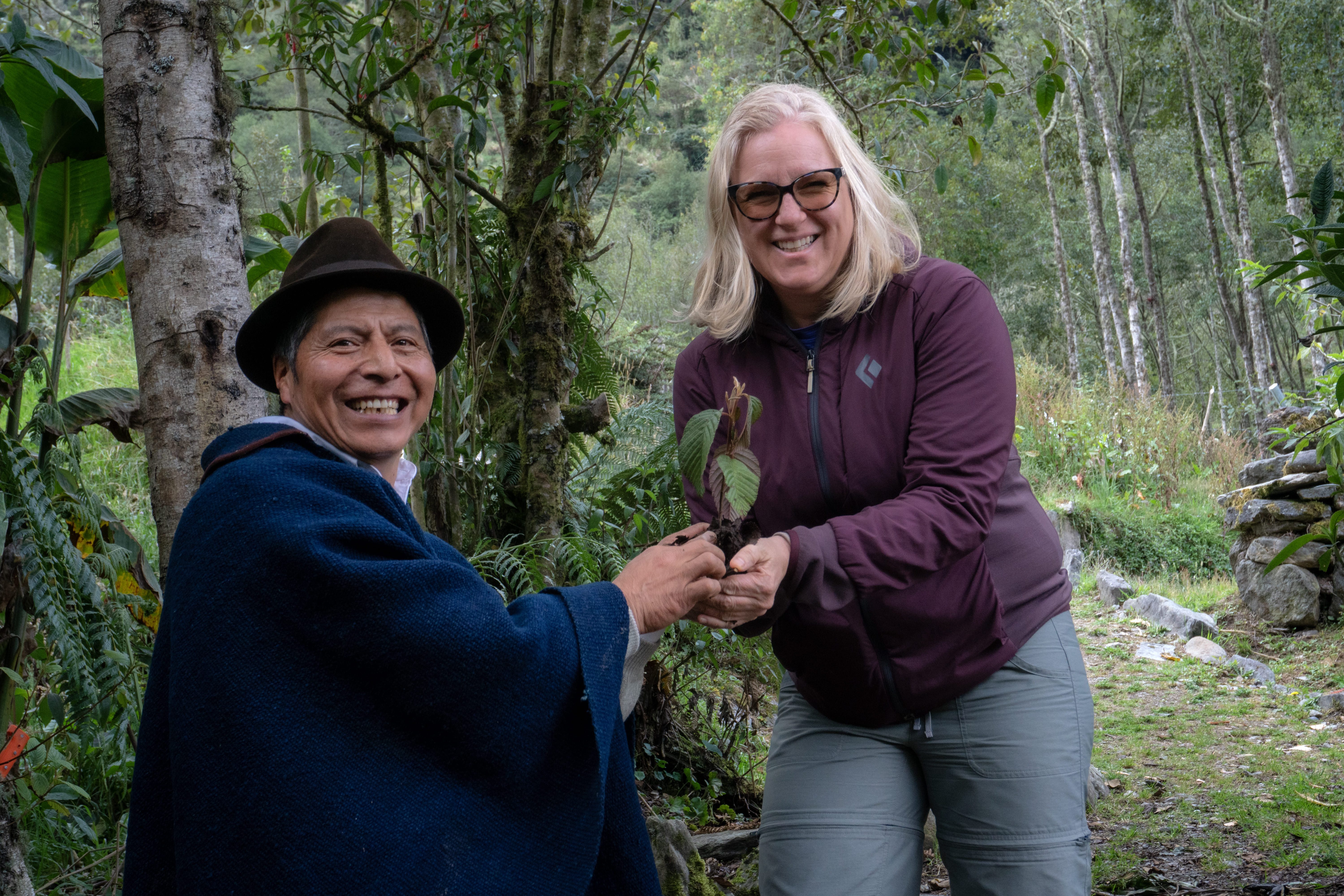 natural senses activity