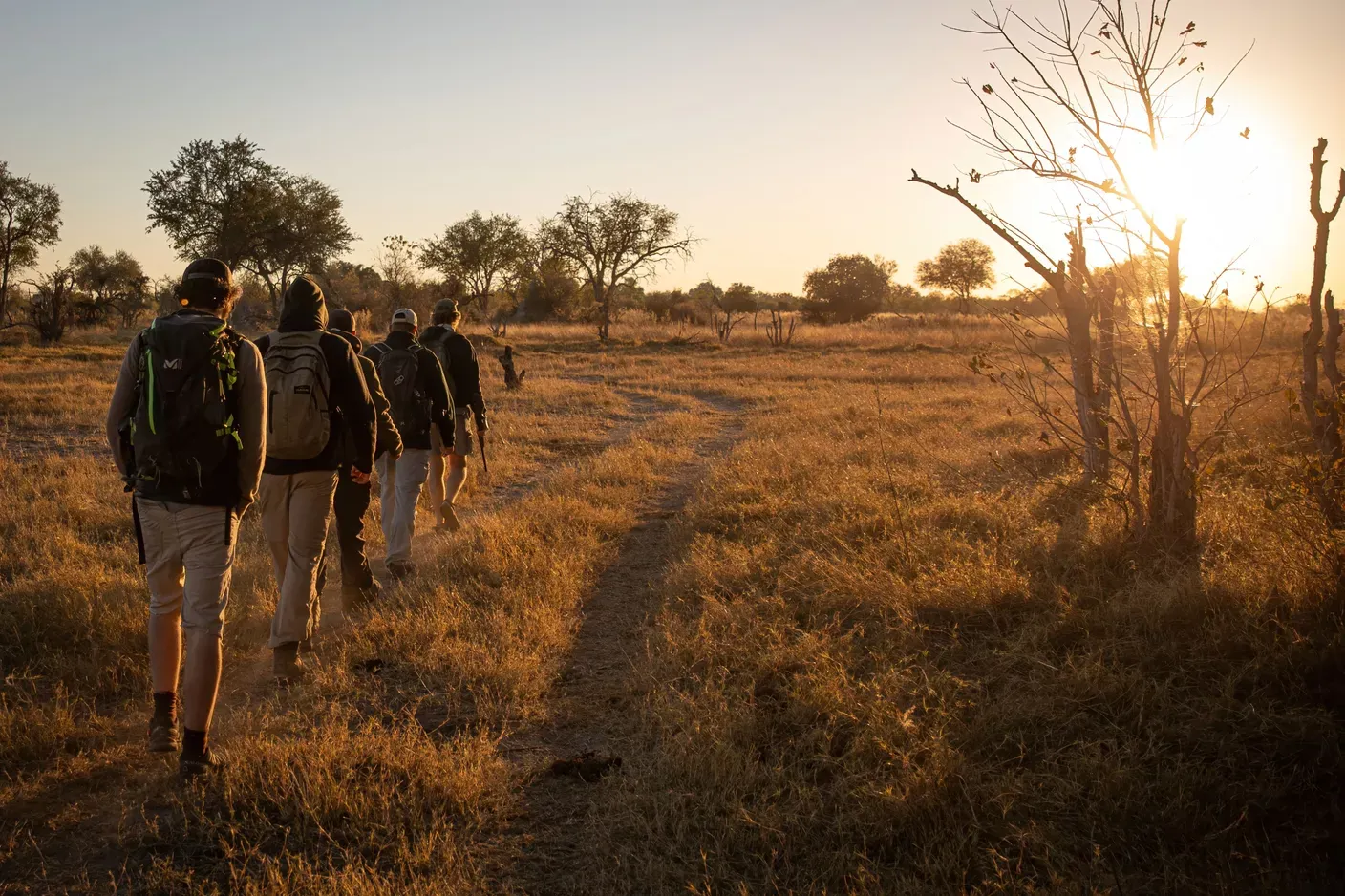 Bush walk in Botswana
