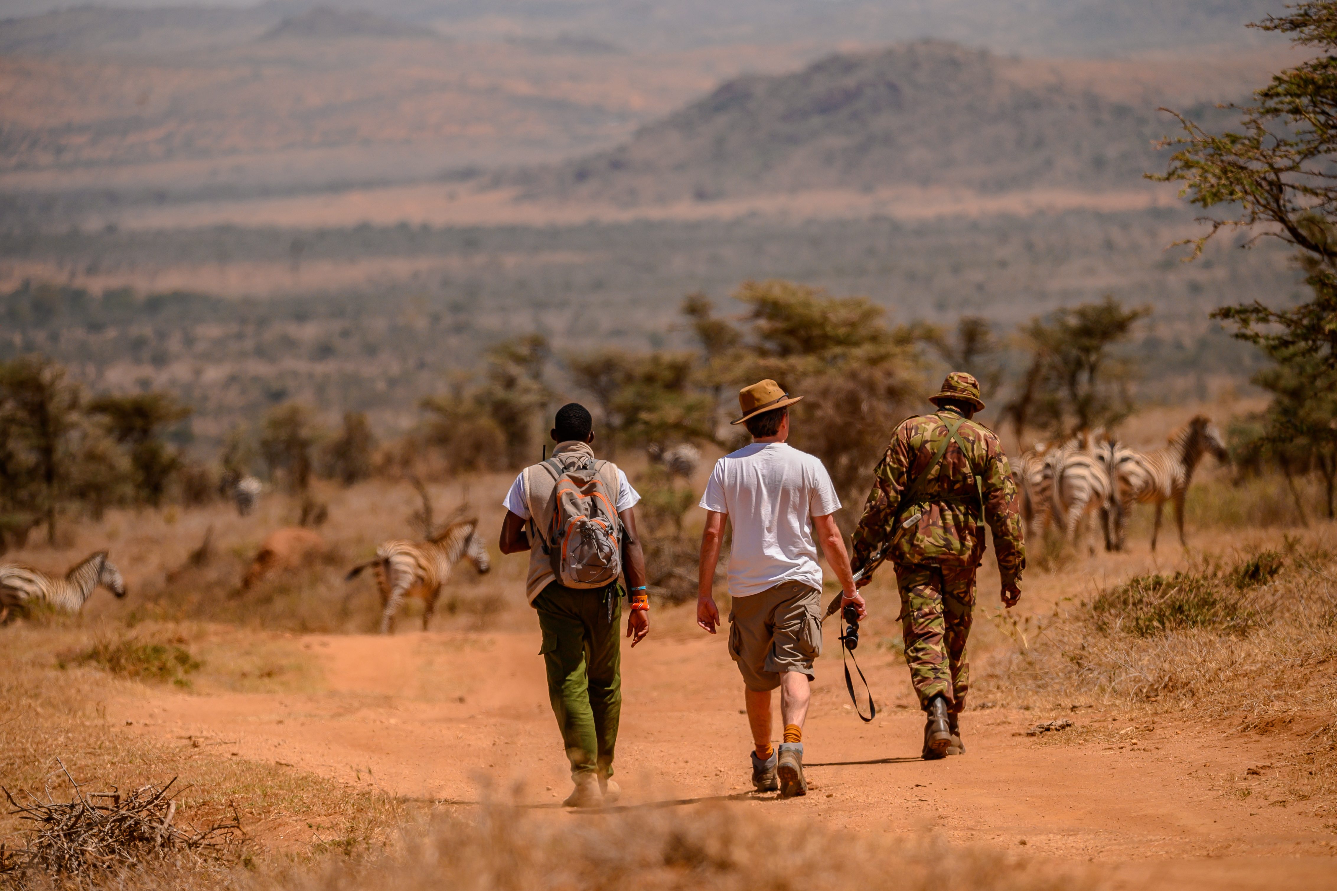 moons camp walking activity