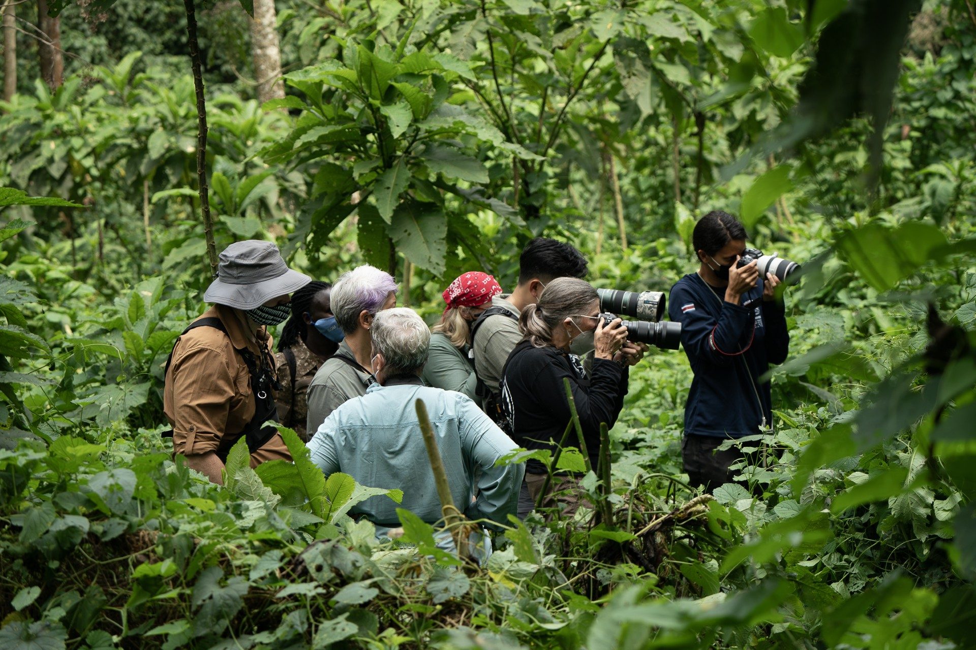 Group of photographers