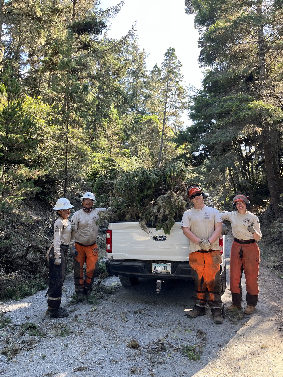 Freiwilligengruppe steht vor Auto mit Baummaterial