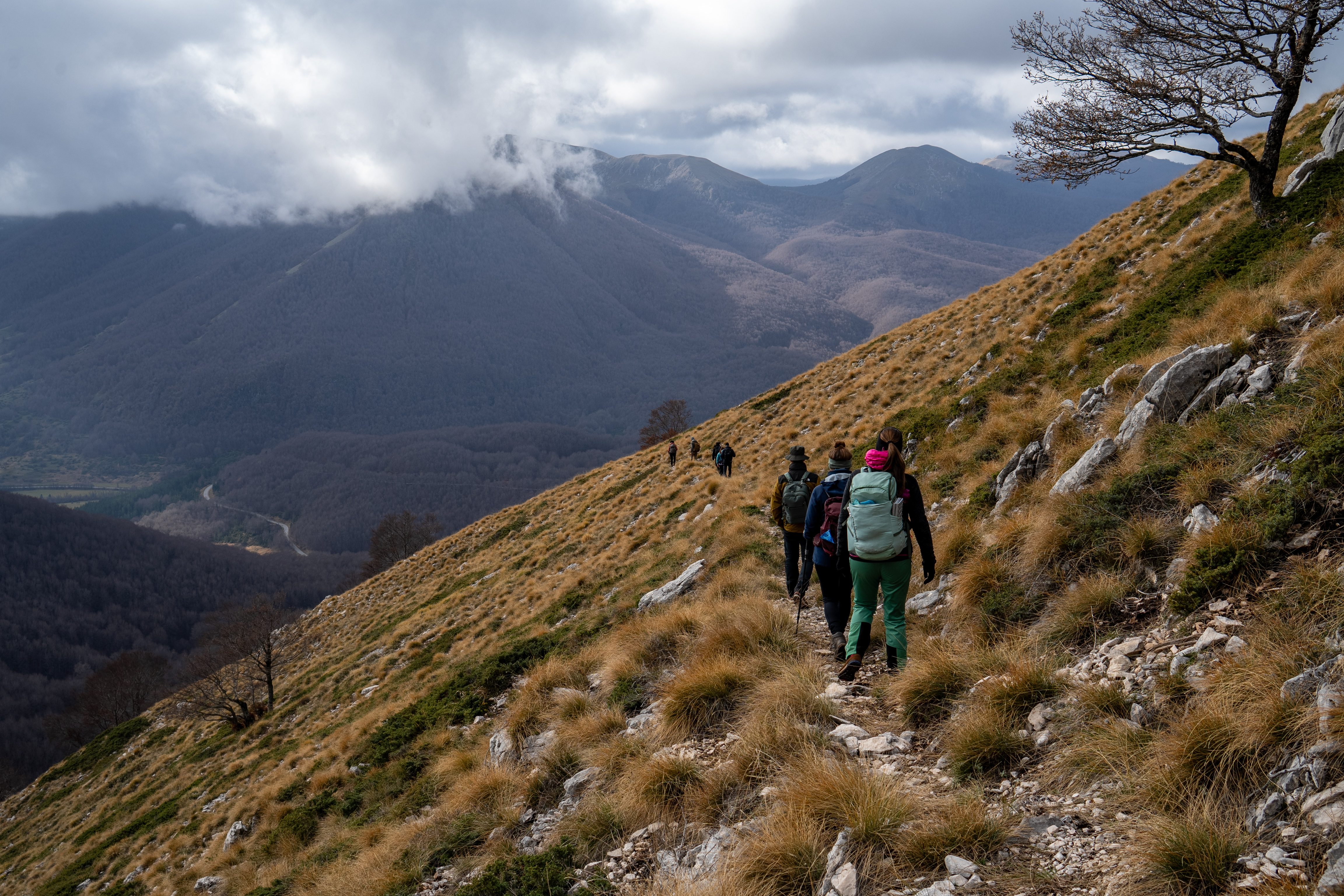 group on a hike