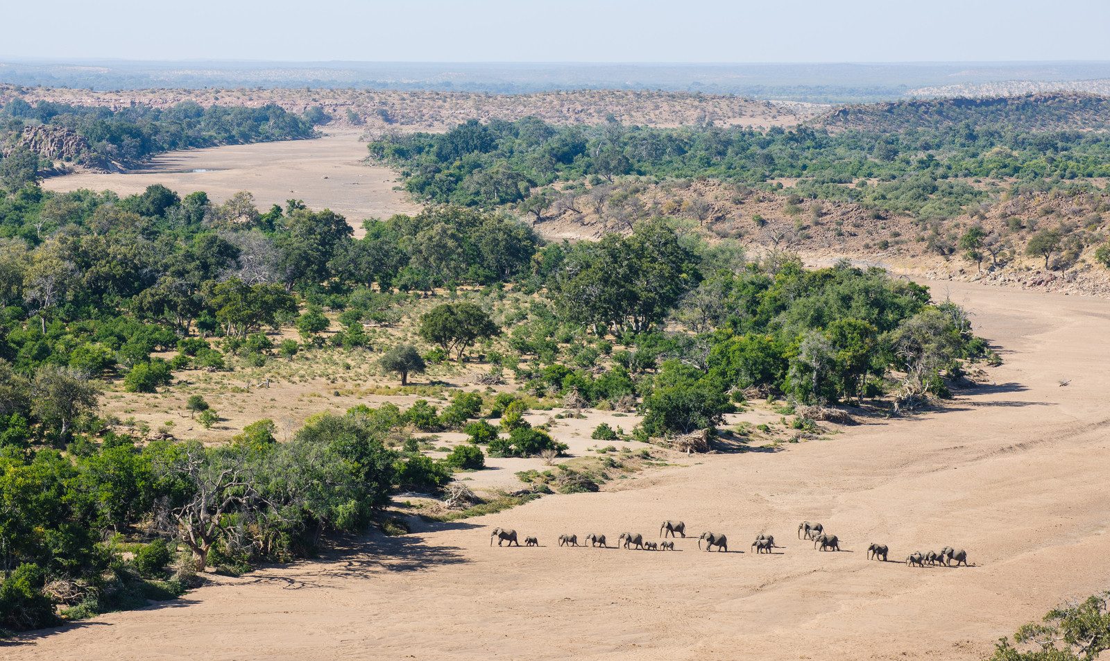 Mashatu landscape with elephant herd