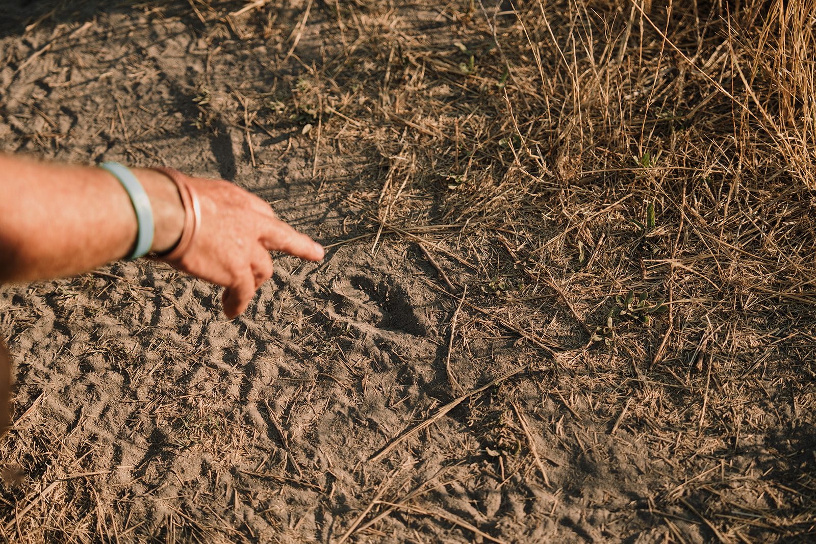 Our partner: African Guide Academy