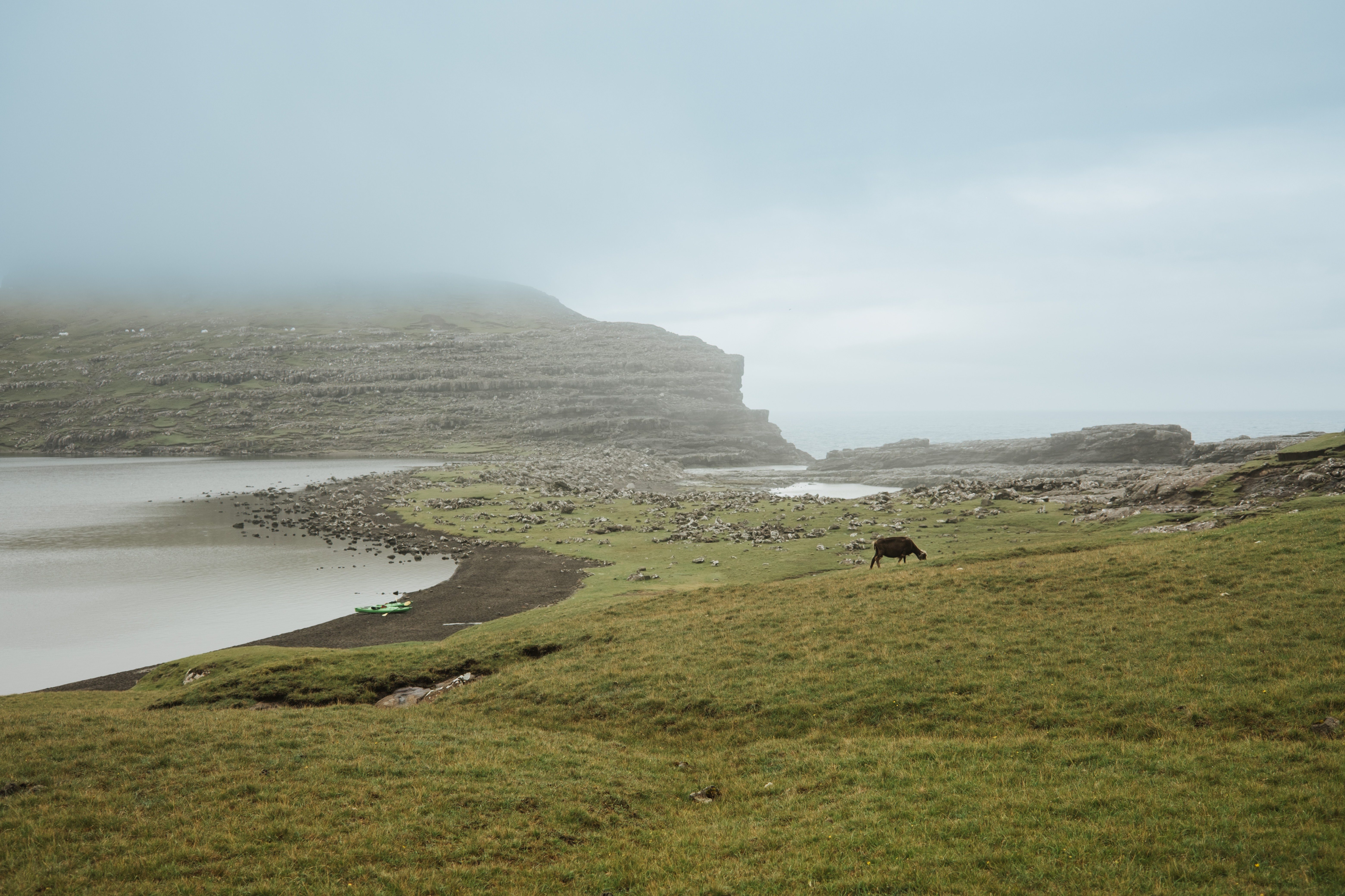 The Faroe Islands: Conservation in the North Atlantic