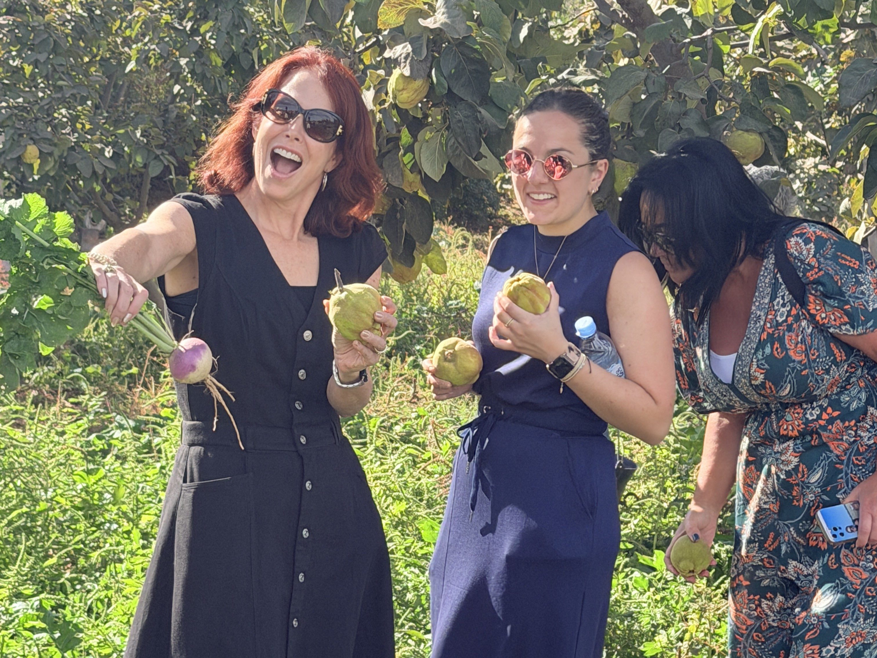Guests picking vegetables