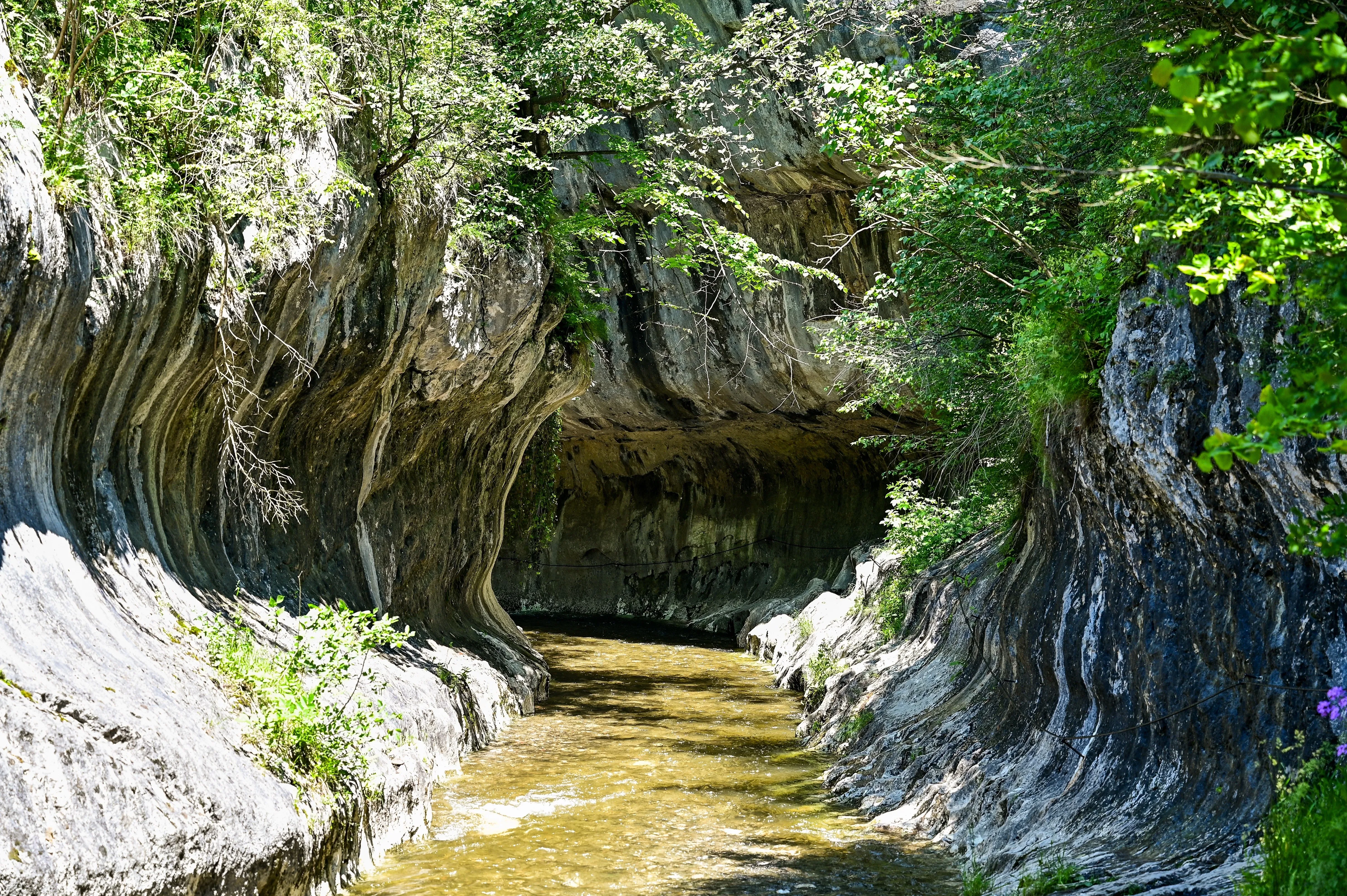 Carved river in Romania