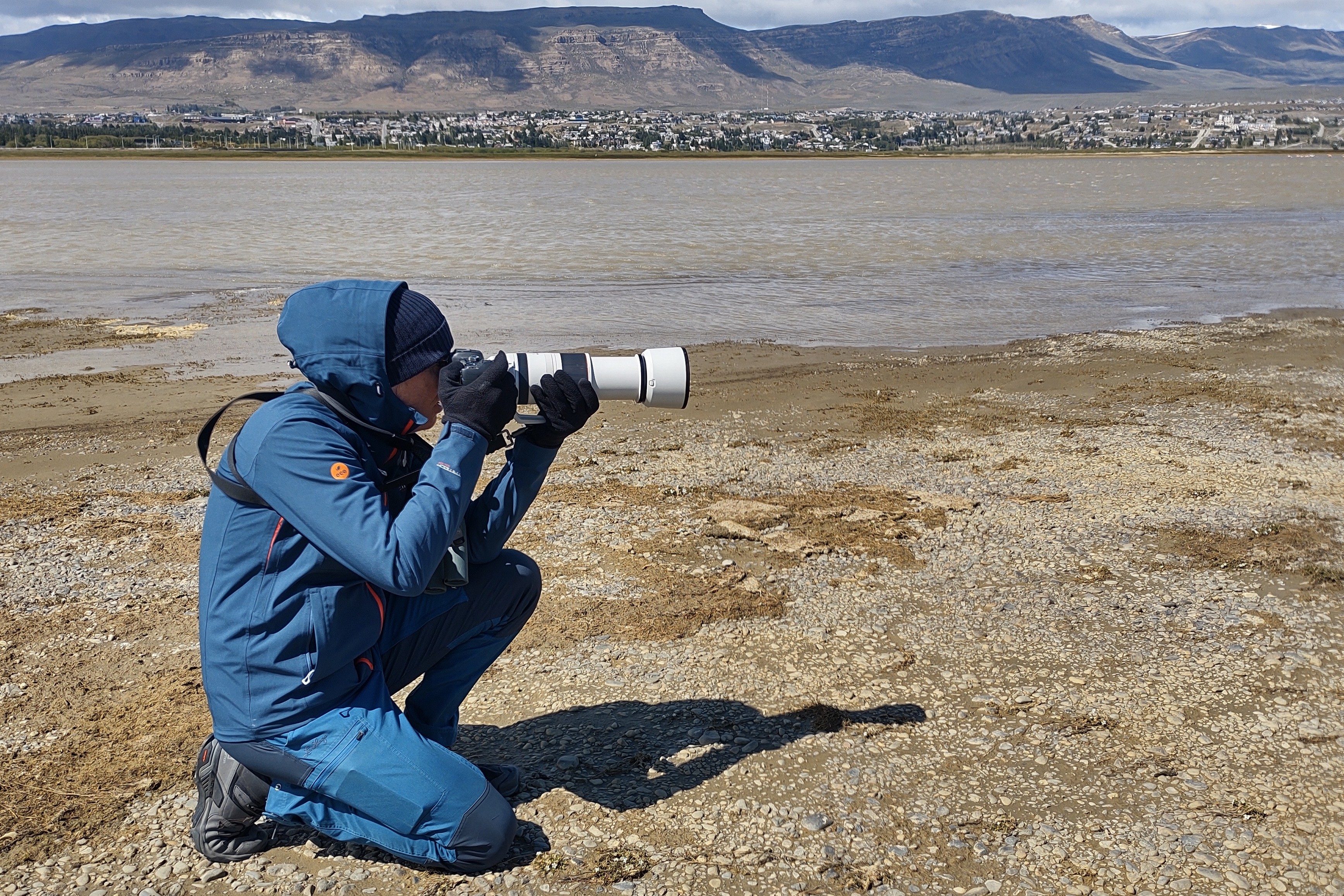 Guest taking wildlife photos