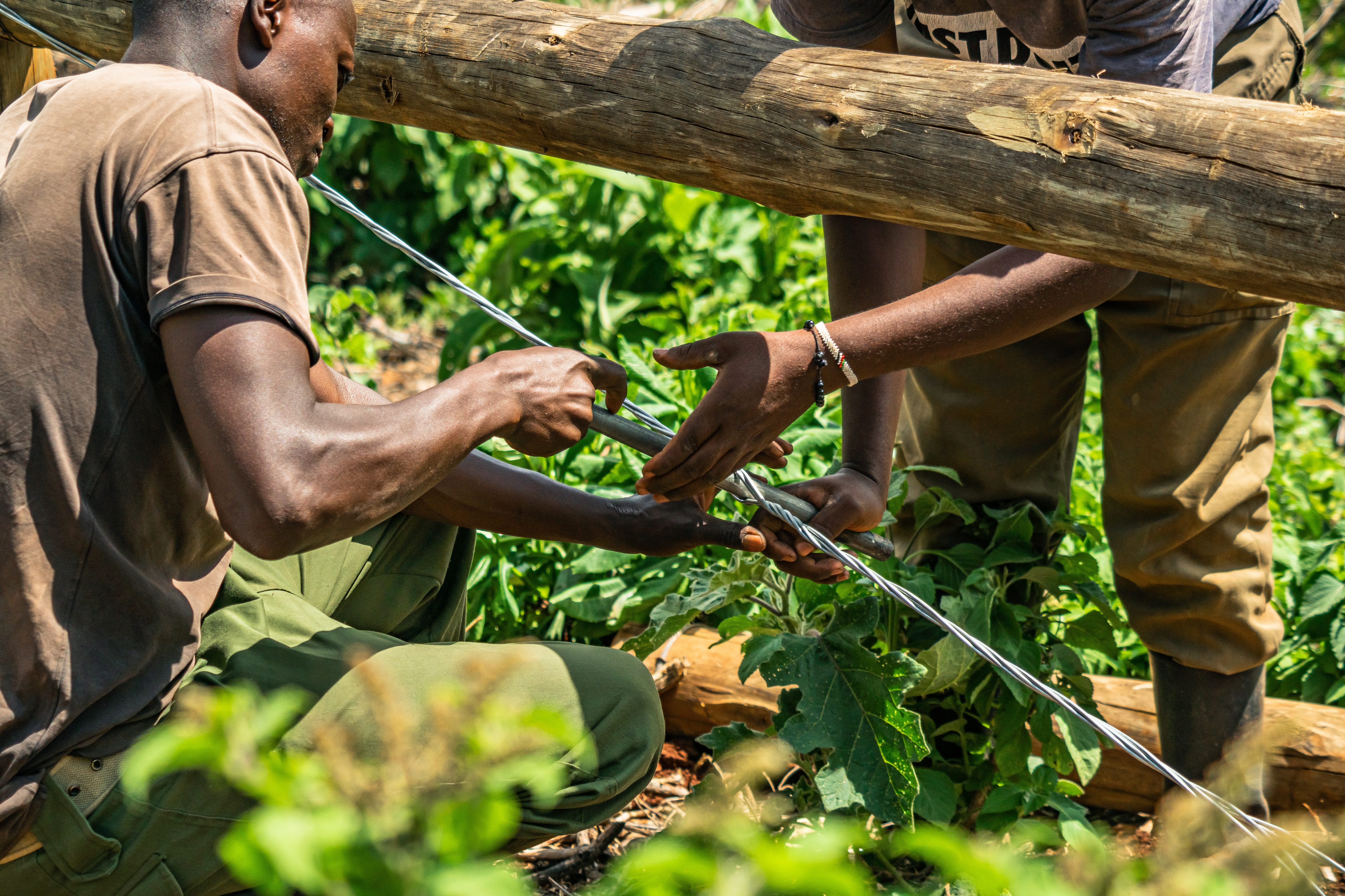 volunteer field work