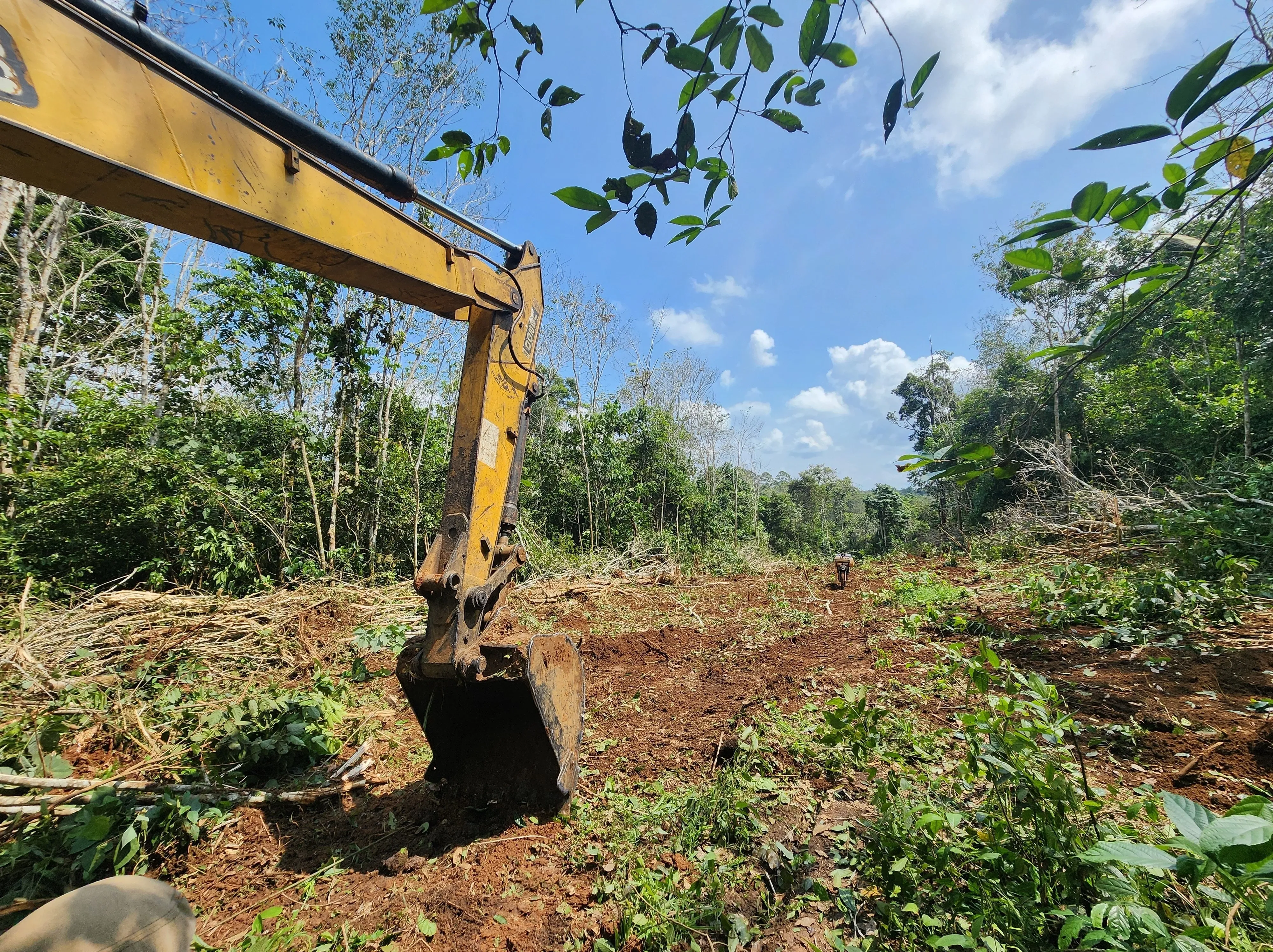 wildlife encroachment