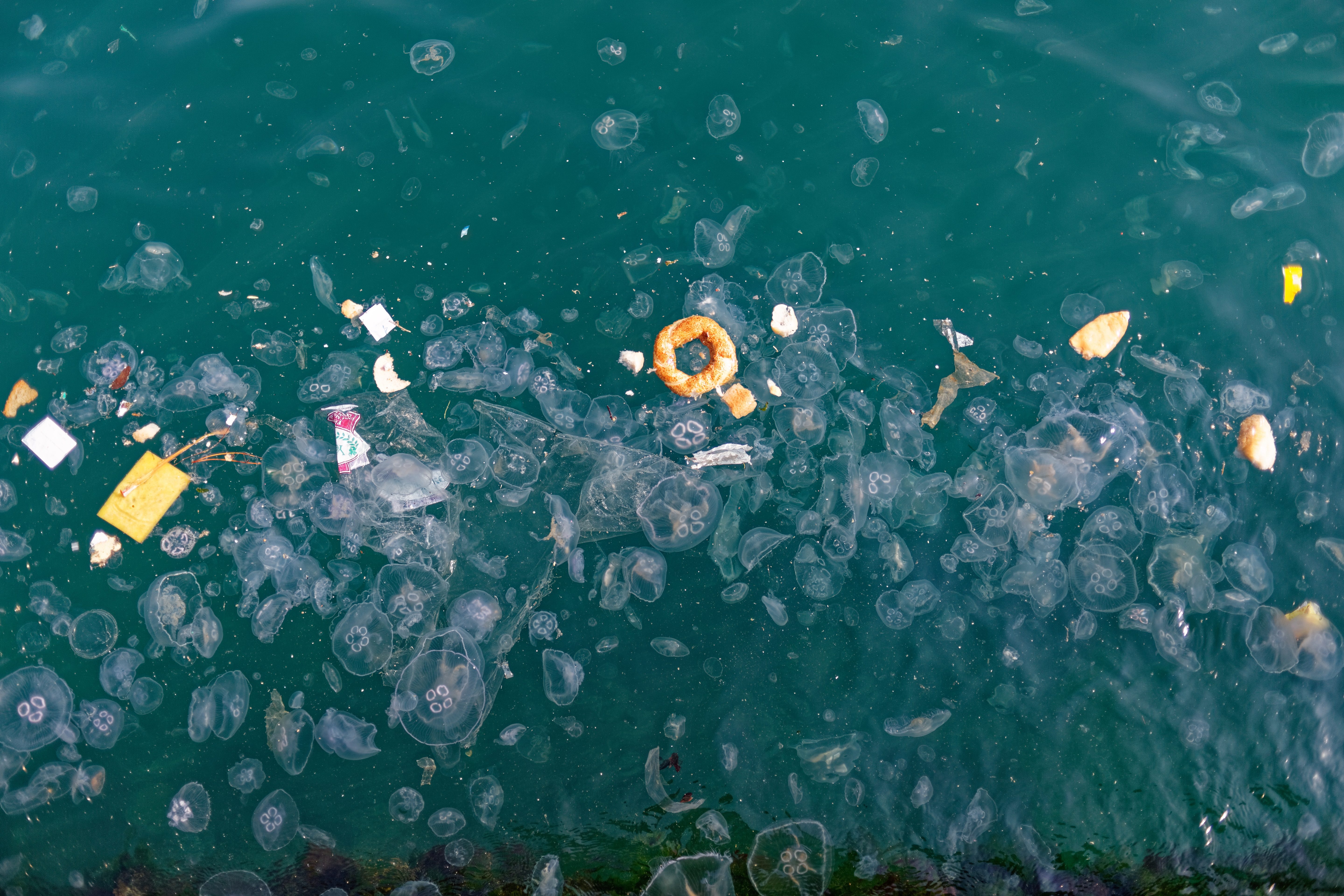 Plastic mixed with jellyfish