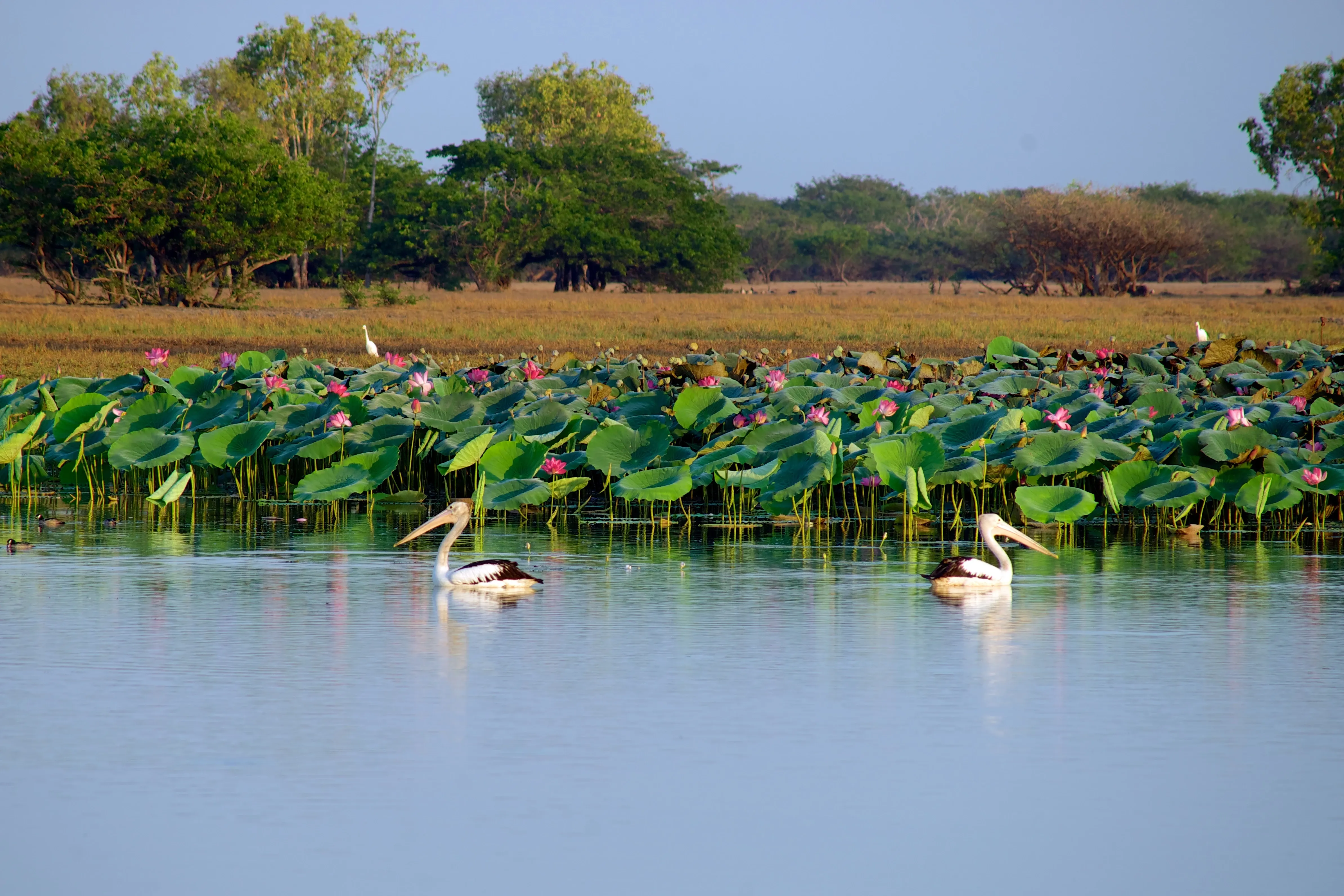 kakadu national park
