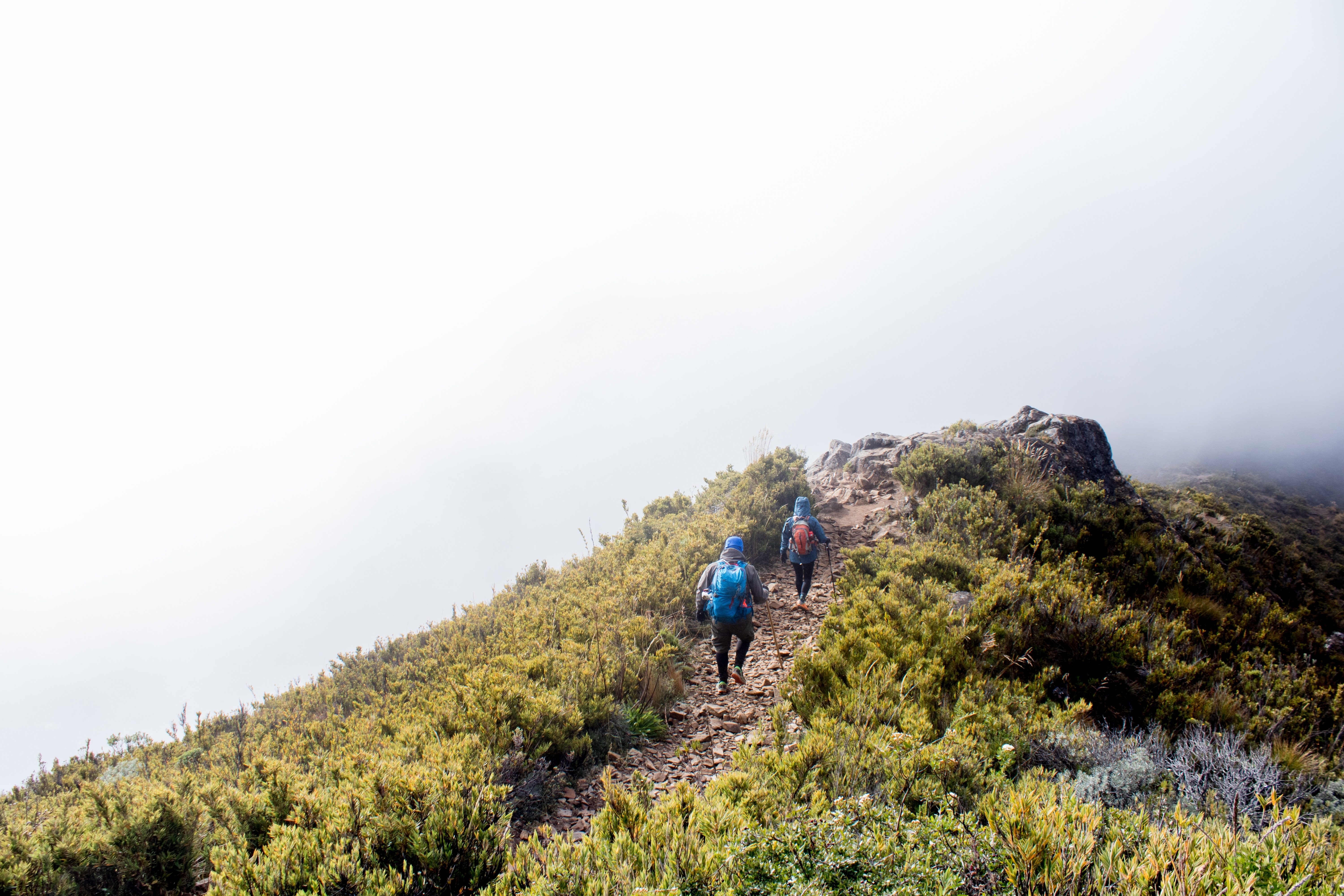 Wanderer auf dem Cerro Chirripo Trail