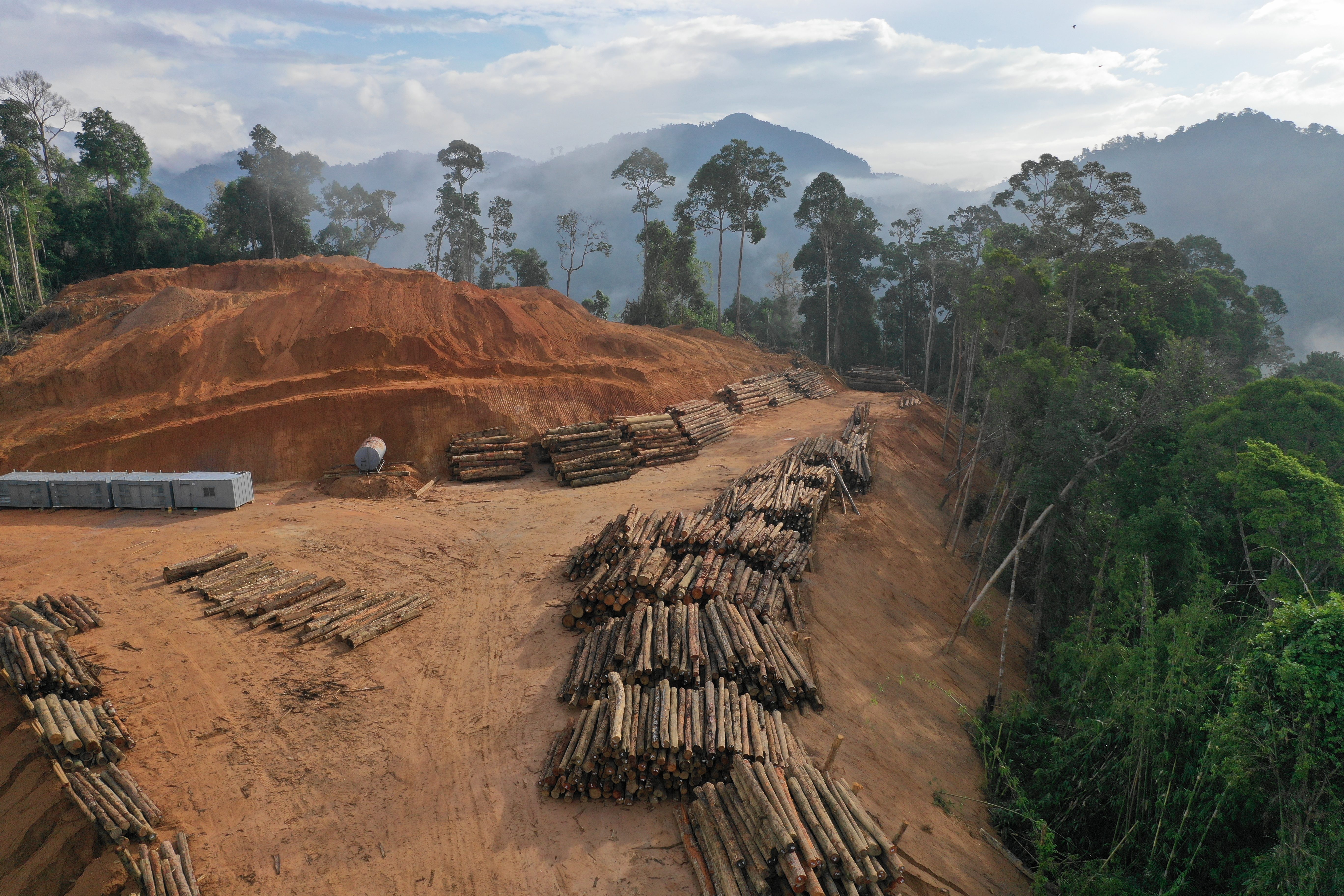 deforestation in malaysia