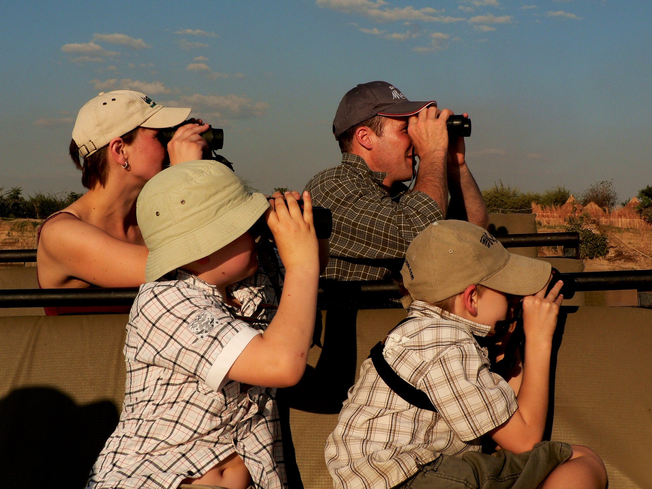Birding activity