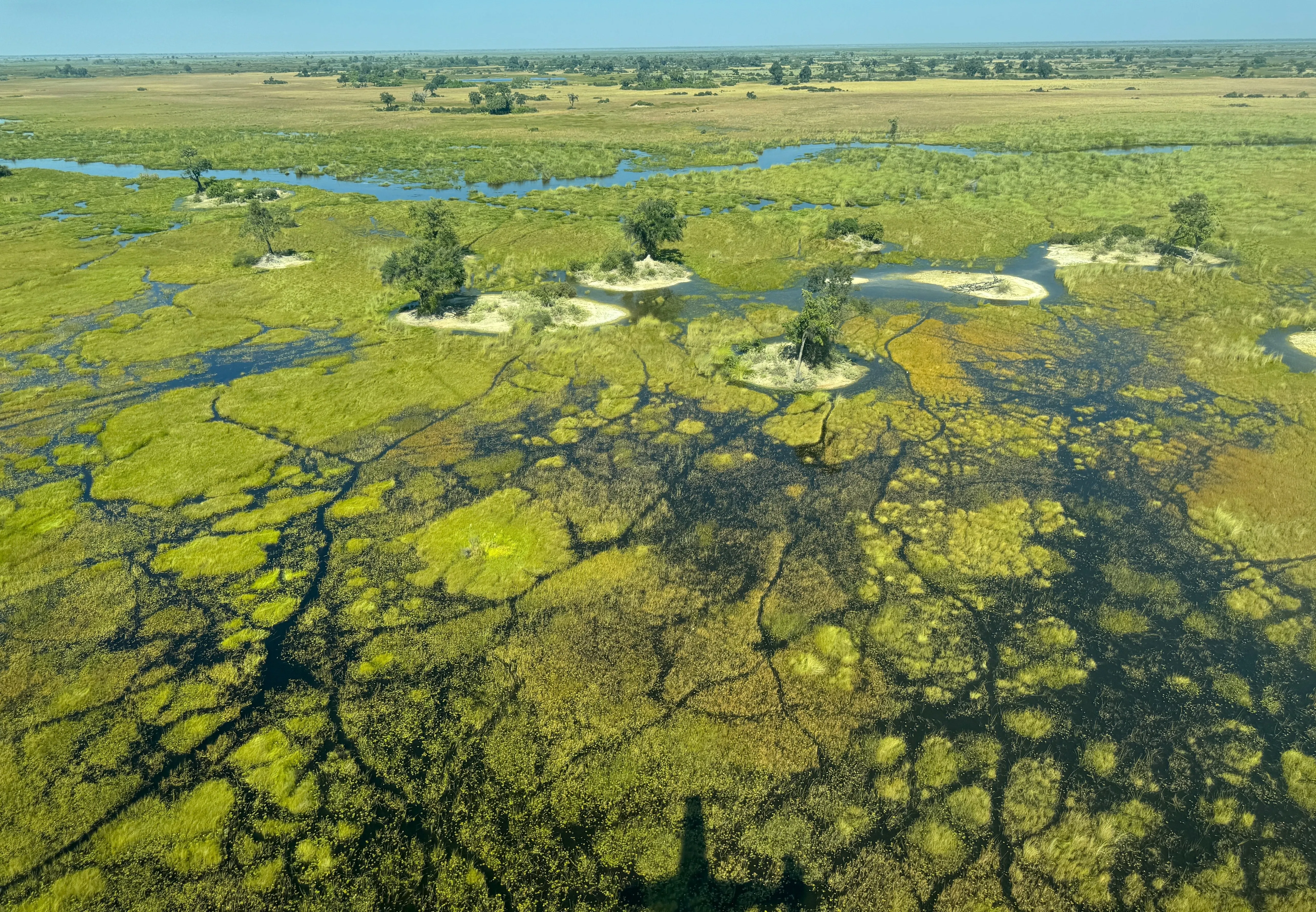 okavango delta botswana