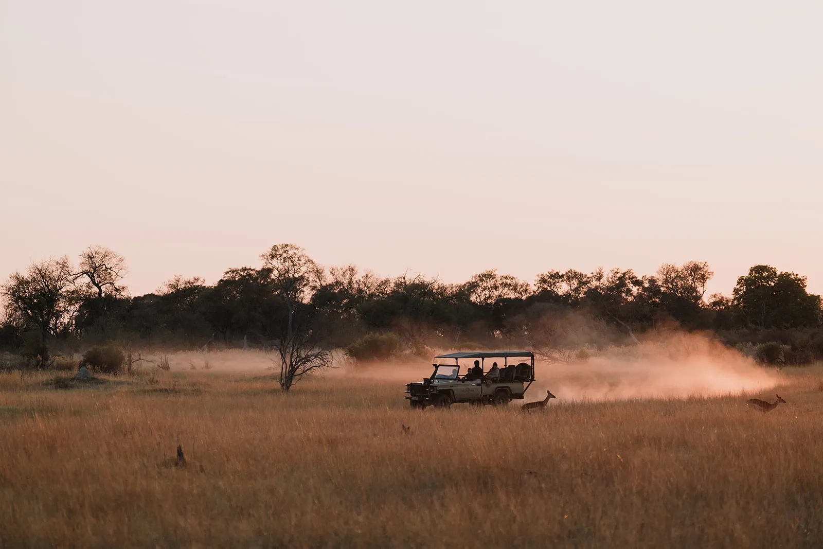 Private Wilderness Experience, Botswana