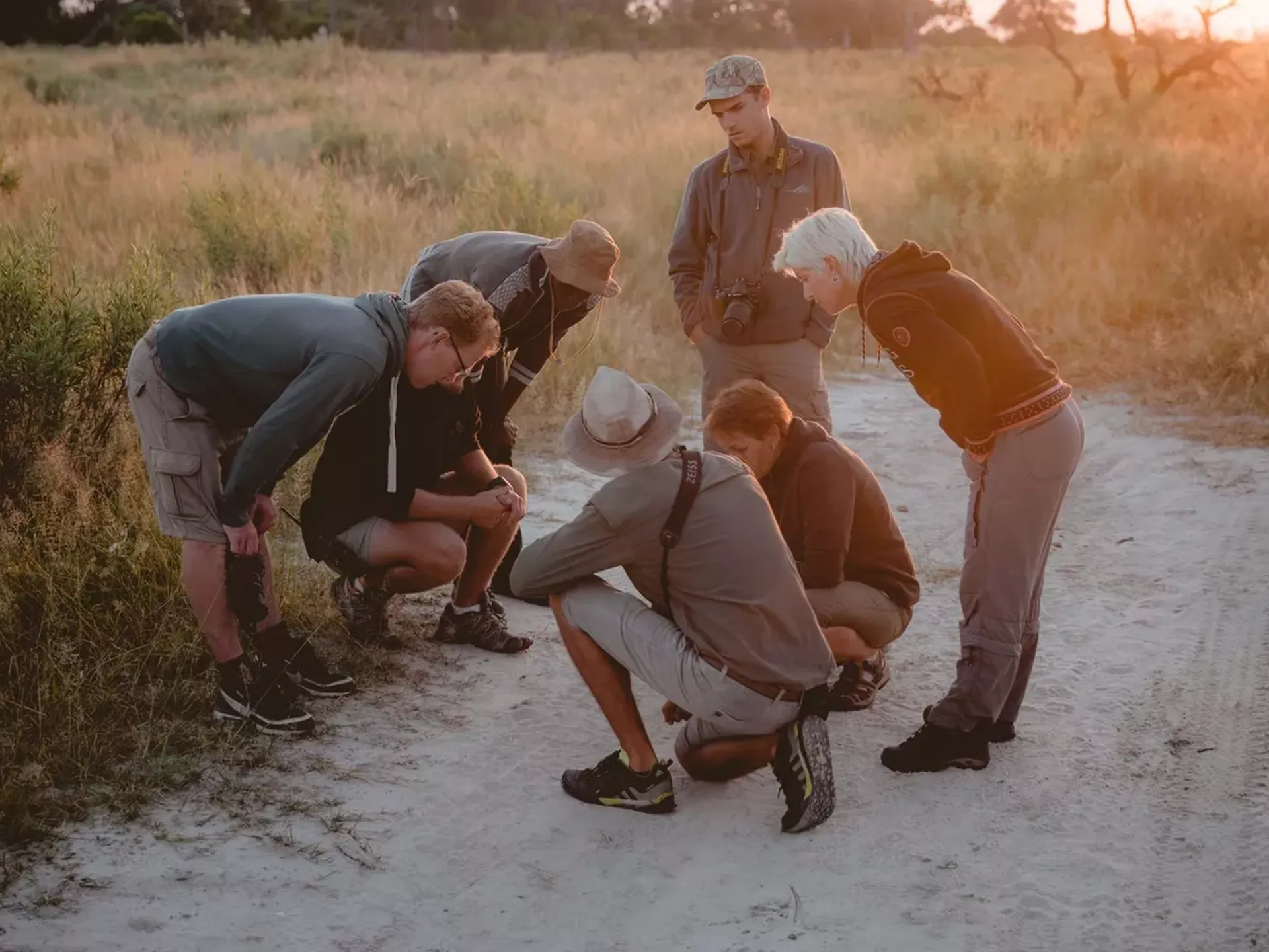 Apprentice Field Guide, Southern Africa