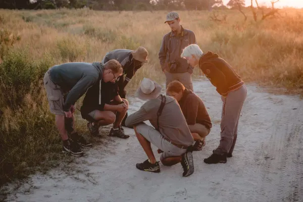Apprentice Field Guide, Southern Africa