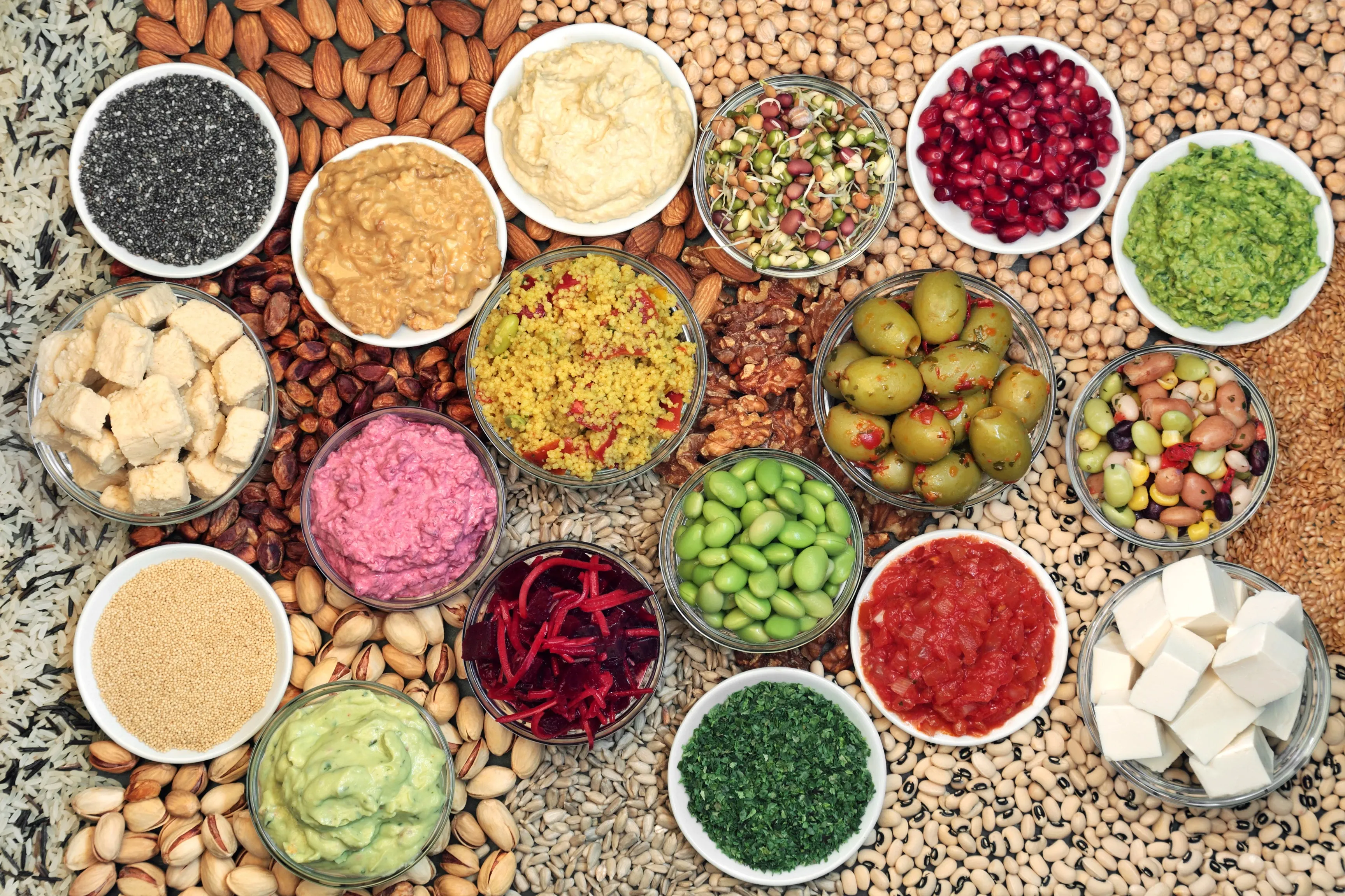 Variety of vegan substitutes