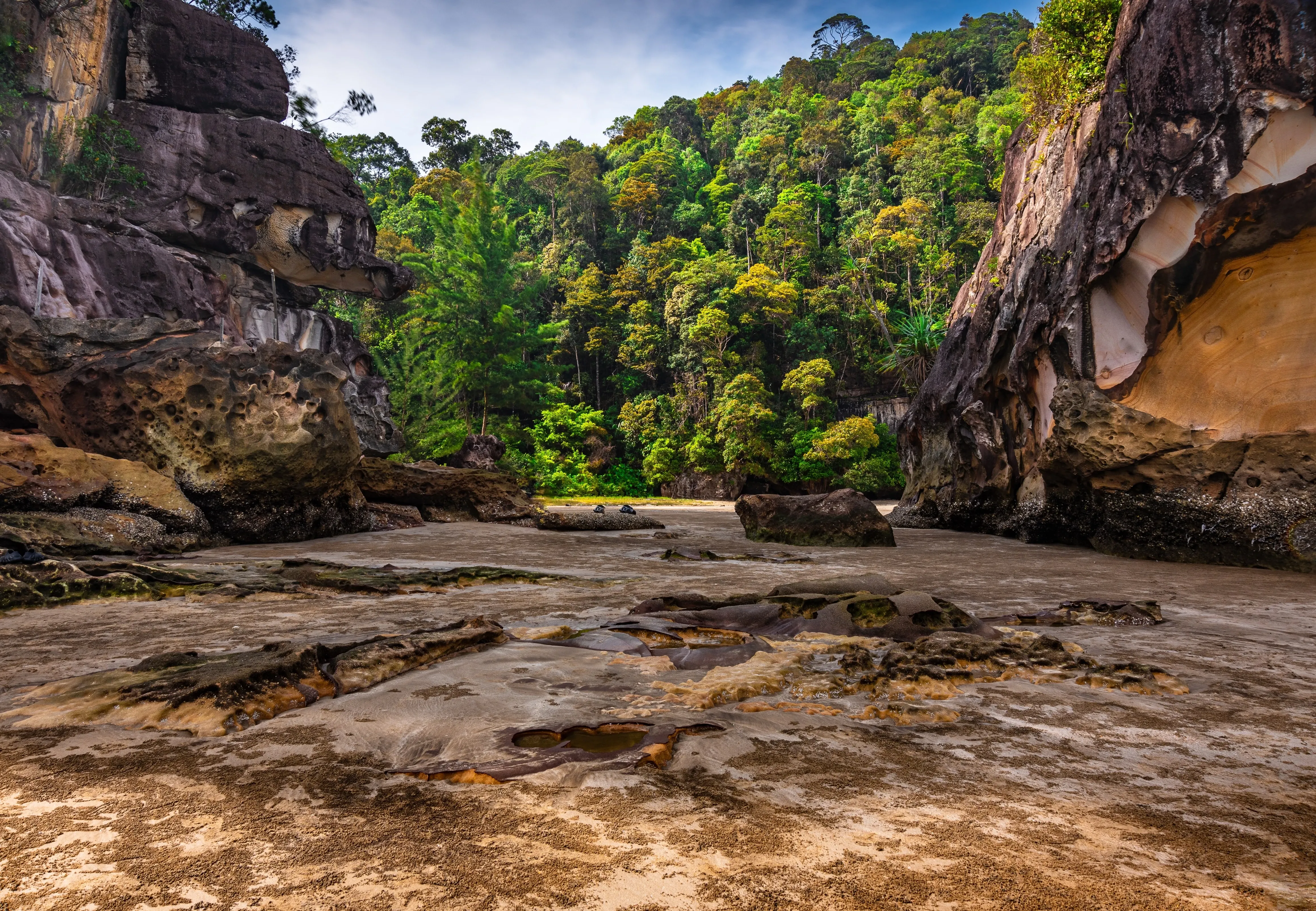 bako national park in malaysia