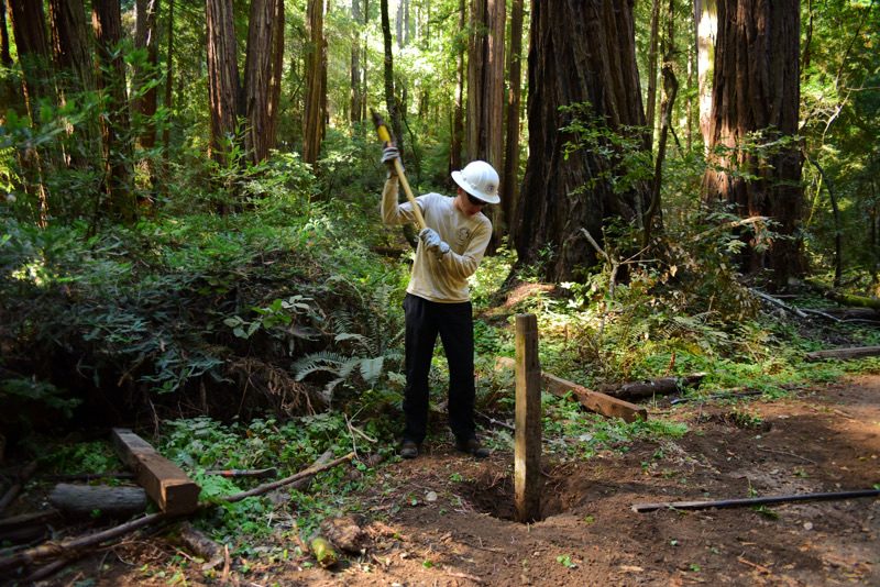 Nature conservation volunteer