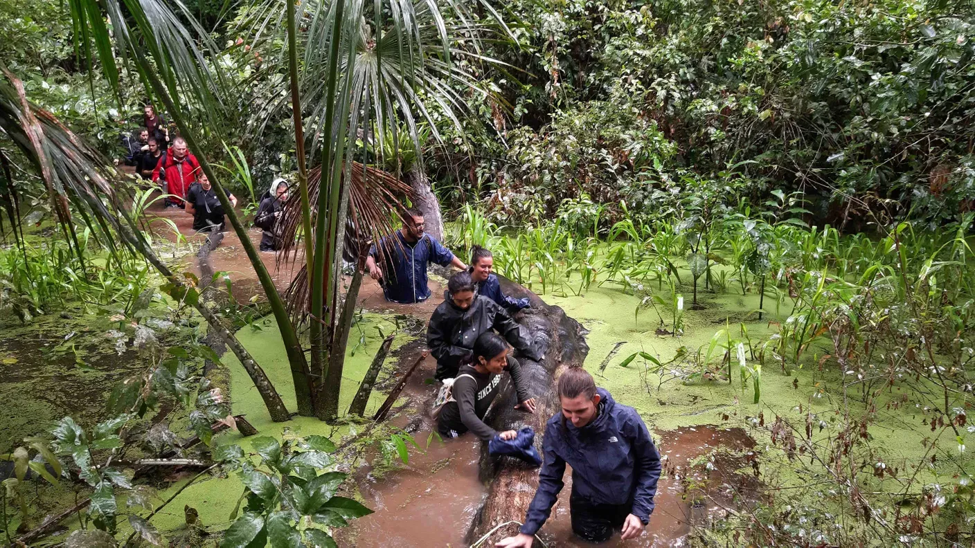Forschende waten durch den Sumpf