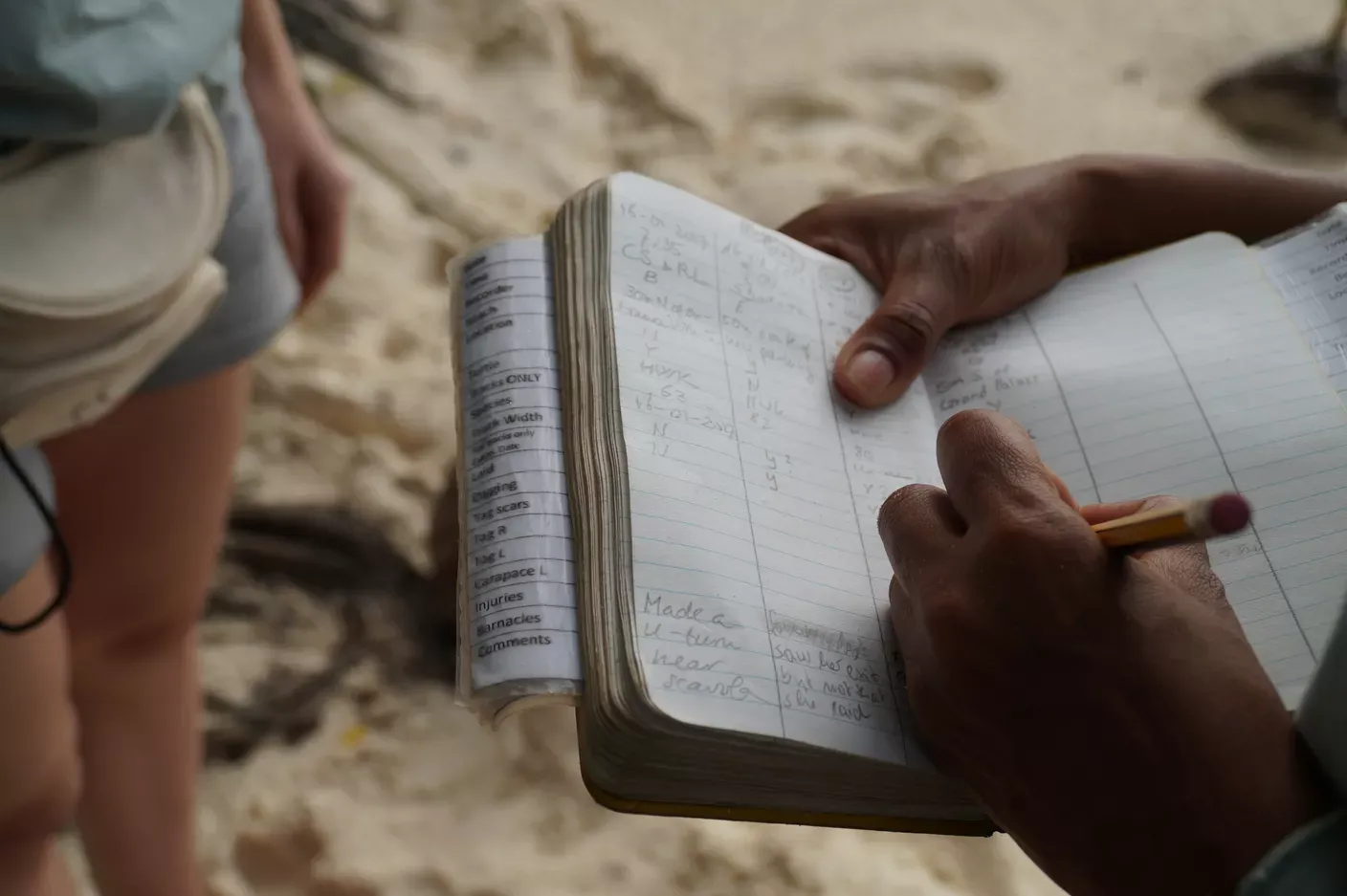 Jemand, der am Strand Daten in ein Notizbuch schreibt.