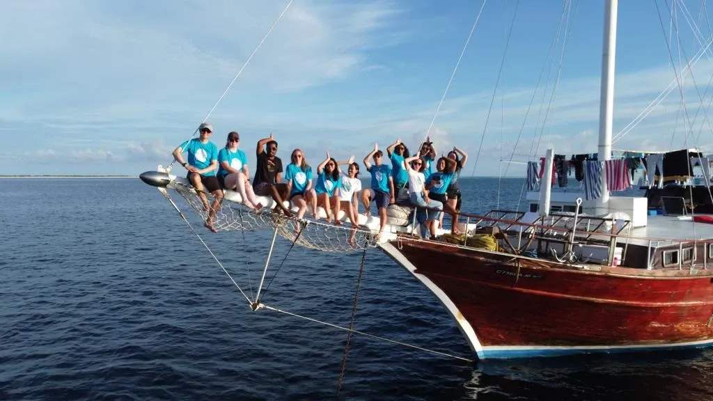 Volunteering Whale Shark Conservation, Maldives