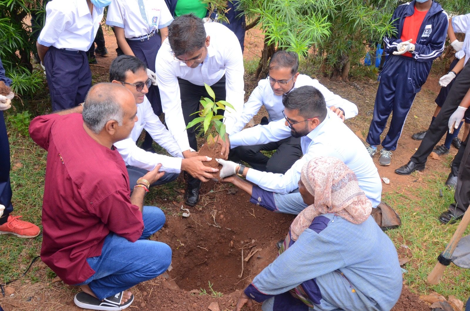 Our partner: Treescape Planet Organization